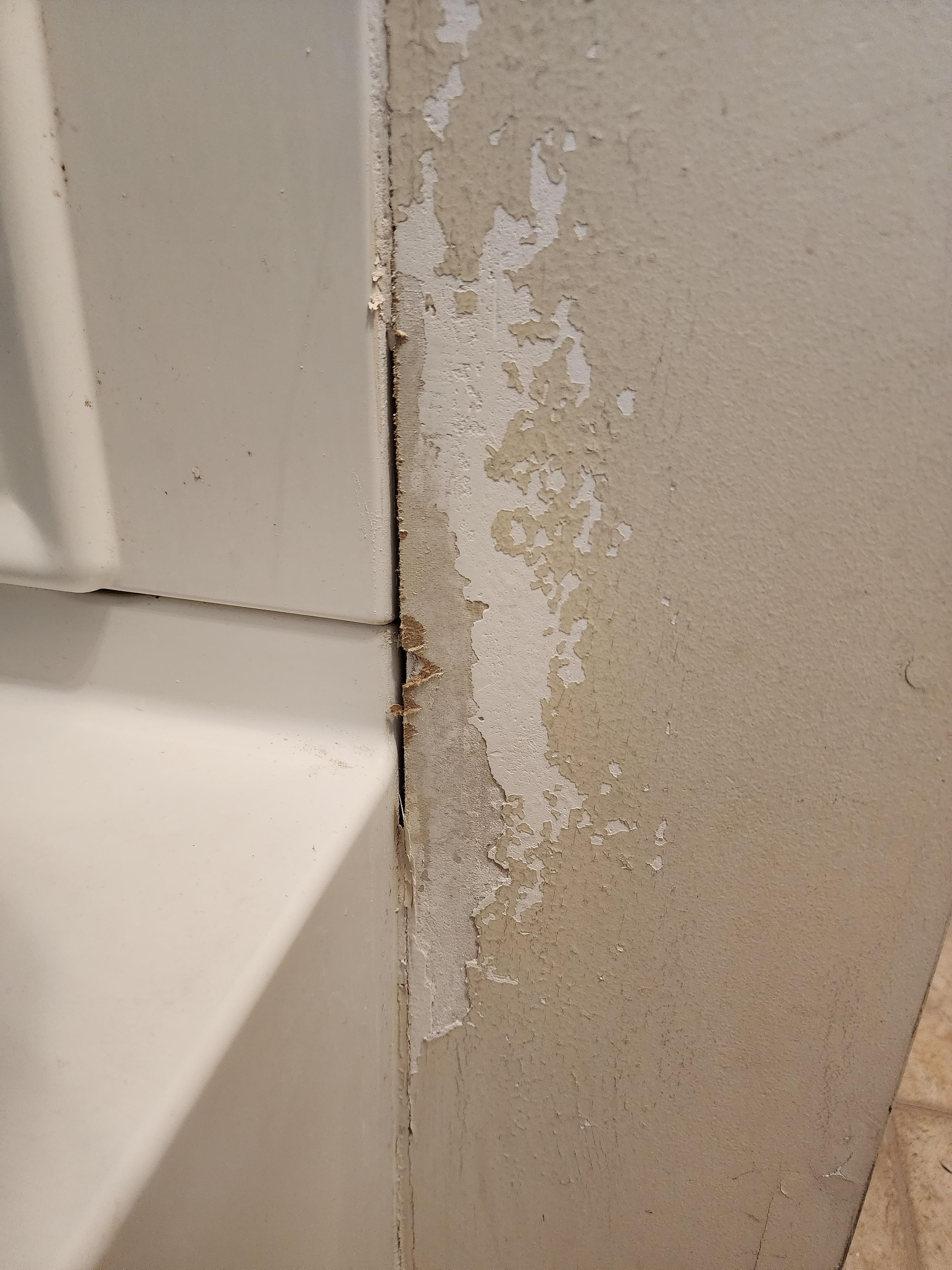 Pro999 vs BIN primer for torn drywall paper r/drywall