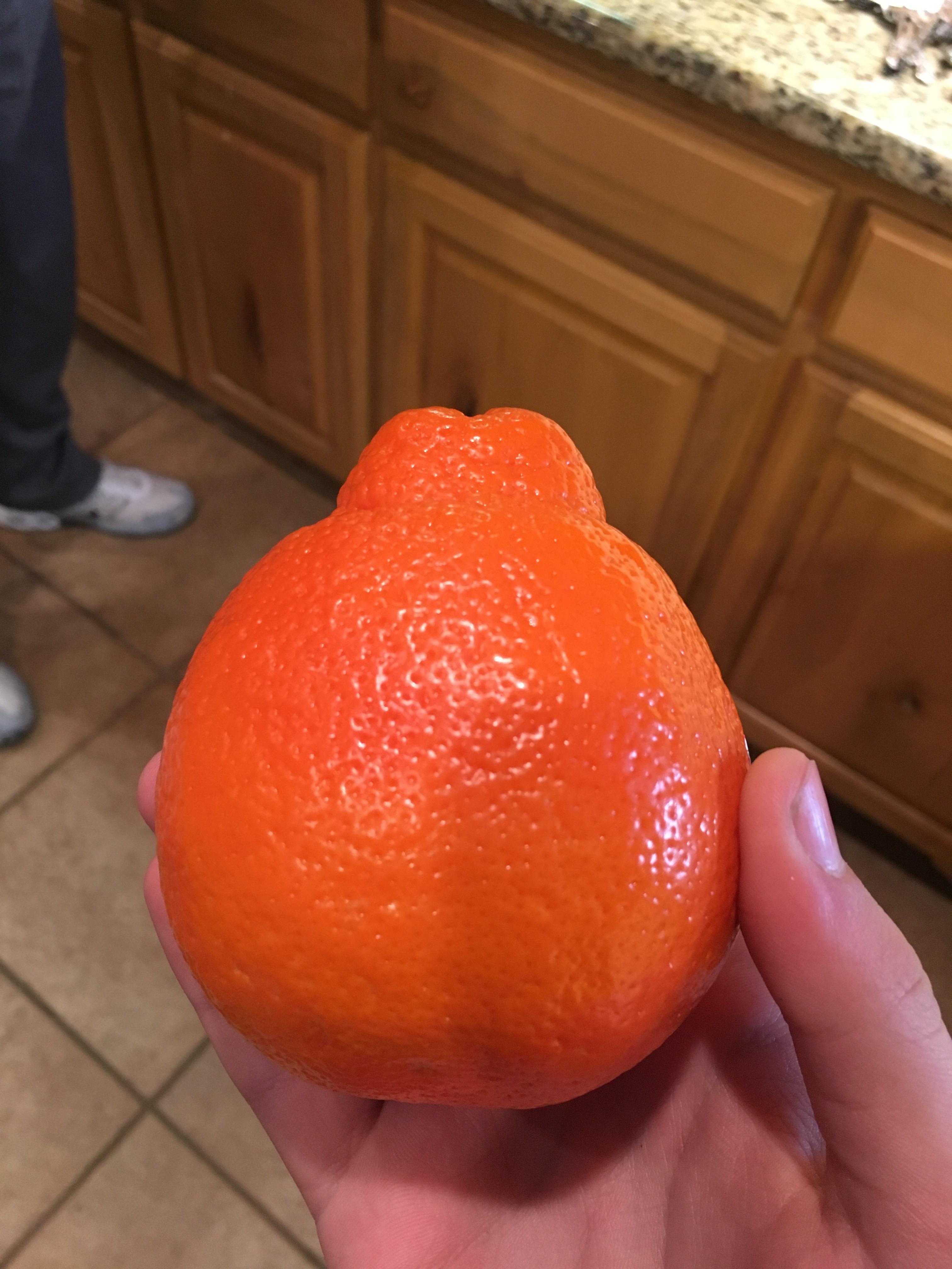This type of orange looks like it has a baby orange coming out of it