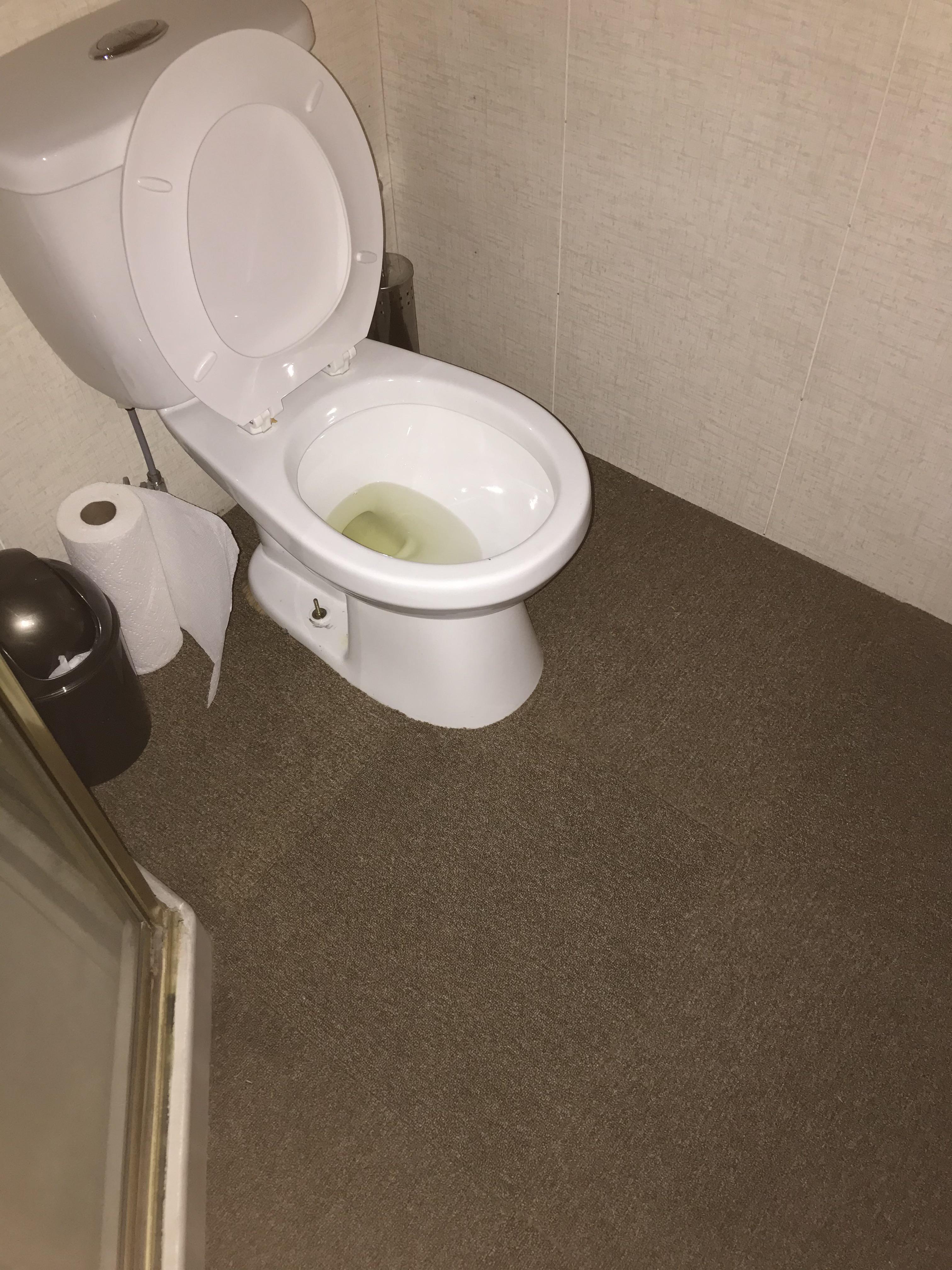 Yes Its another carpet r/CrappyDesign