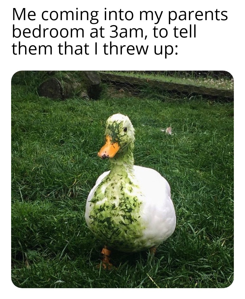Throwing Up Meme