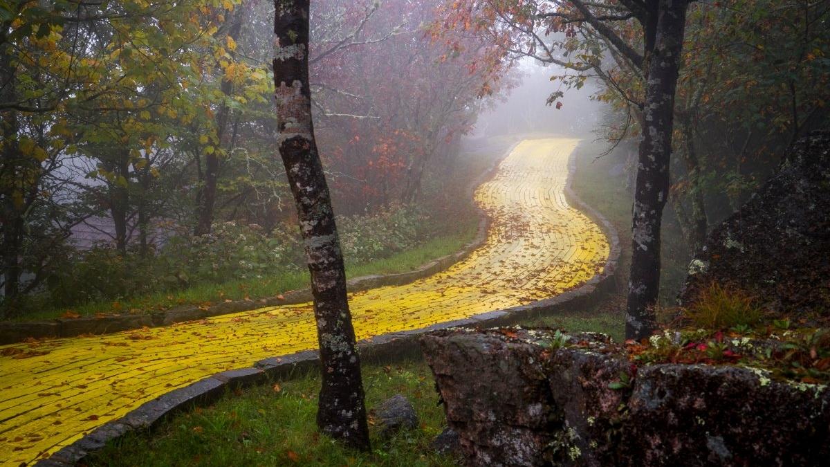 The Yellow Brick Road in North Carolina's abandoned Wizard of Oz theme