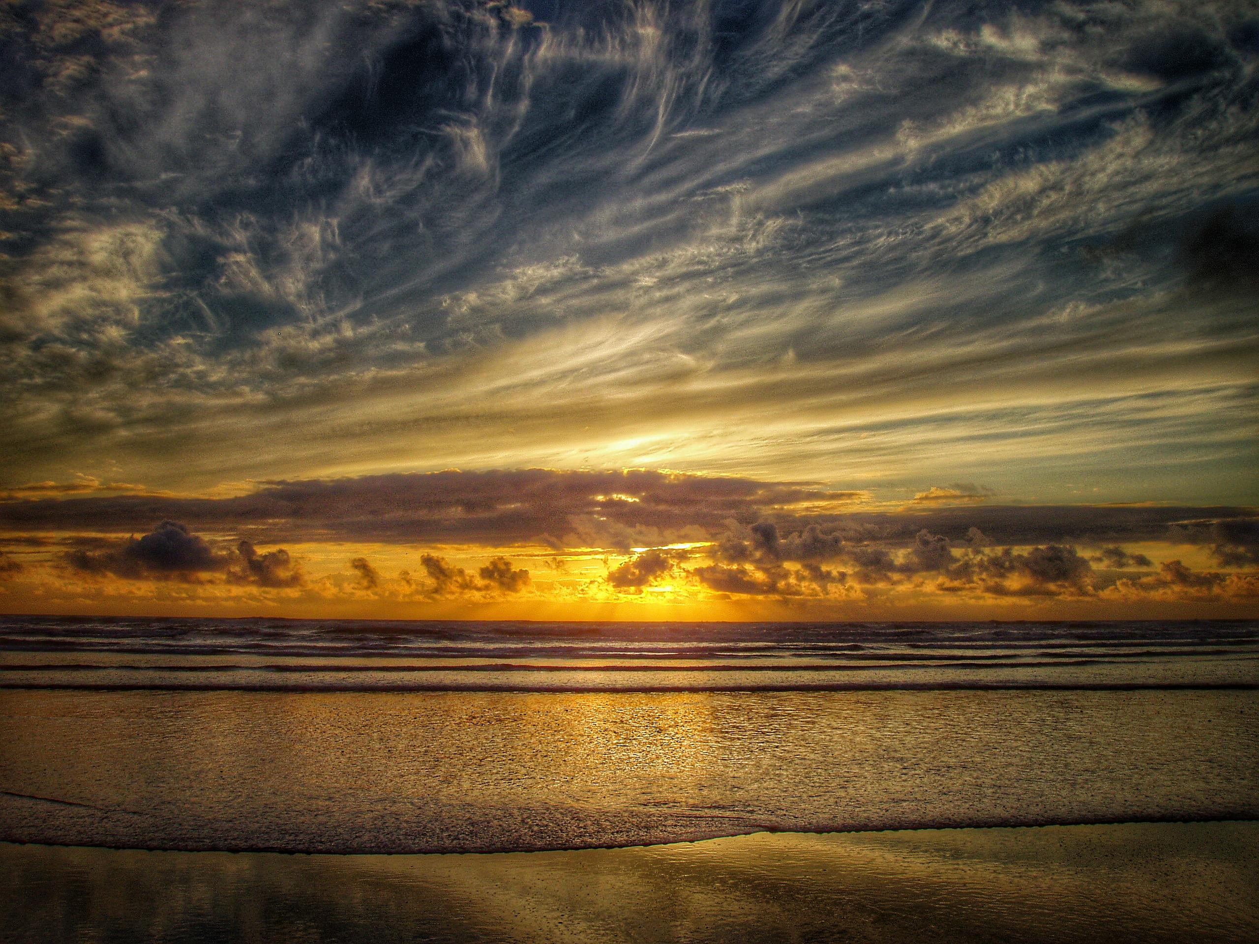 copalis beach/seabrook Reddit post and comment search SocialGrep