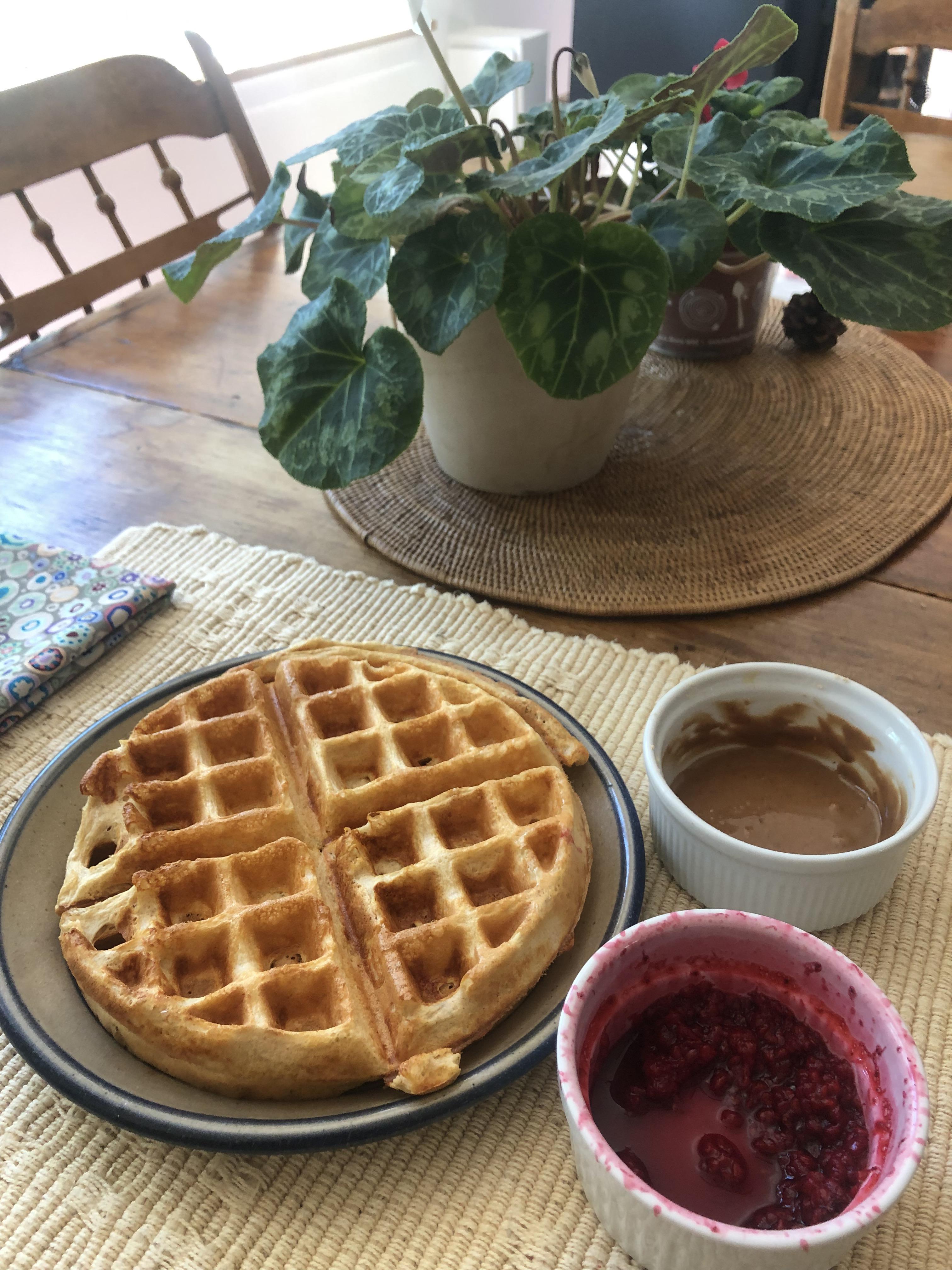 Protein powder waffle the most deceptively enticing piece of styrofoam