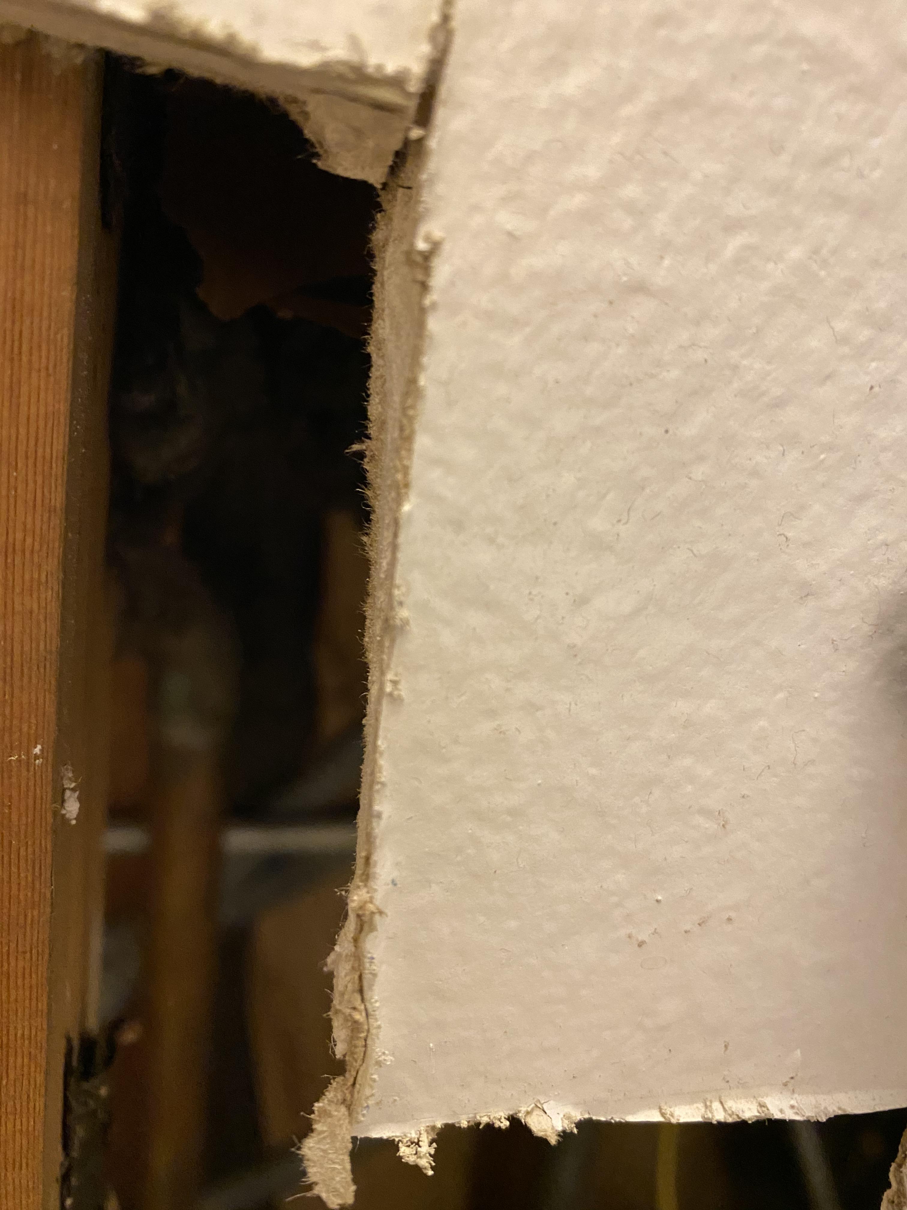 Mr Fluffy Loose Fill Asbestos Insulation No_Asbestos