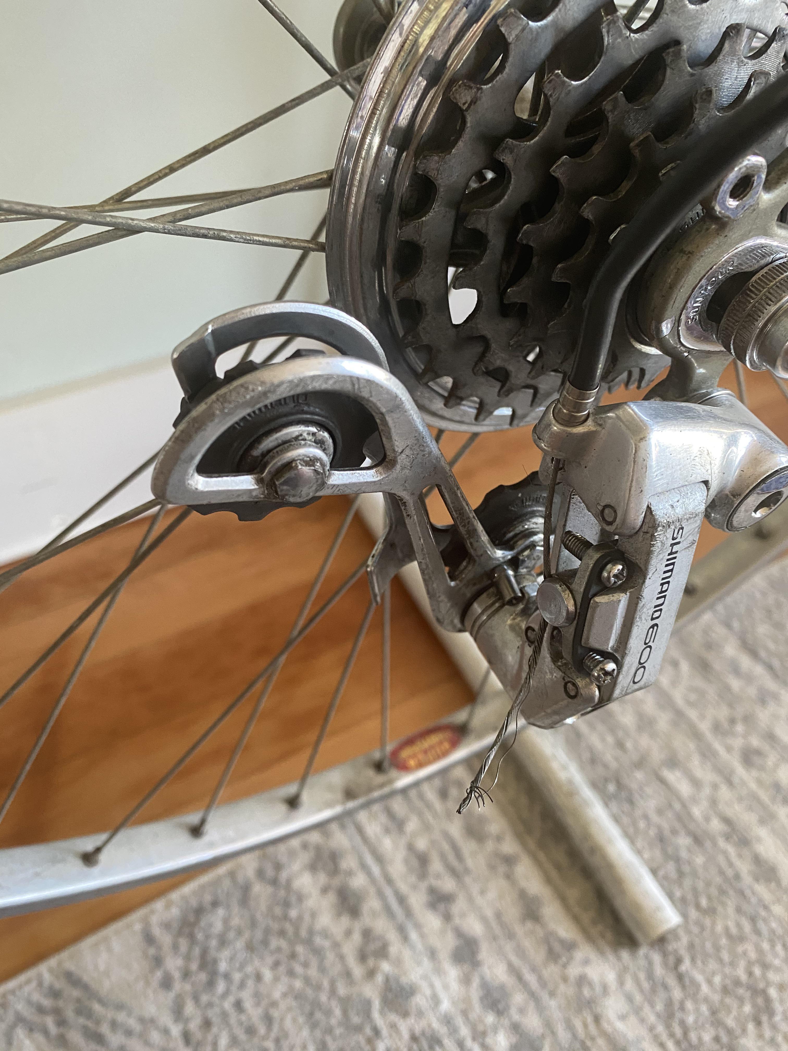 Derailleur gears grease or replace? Full q in comments r/bikewrench