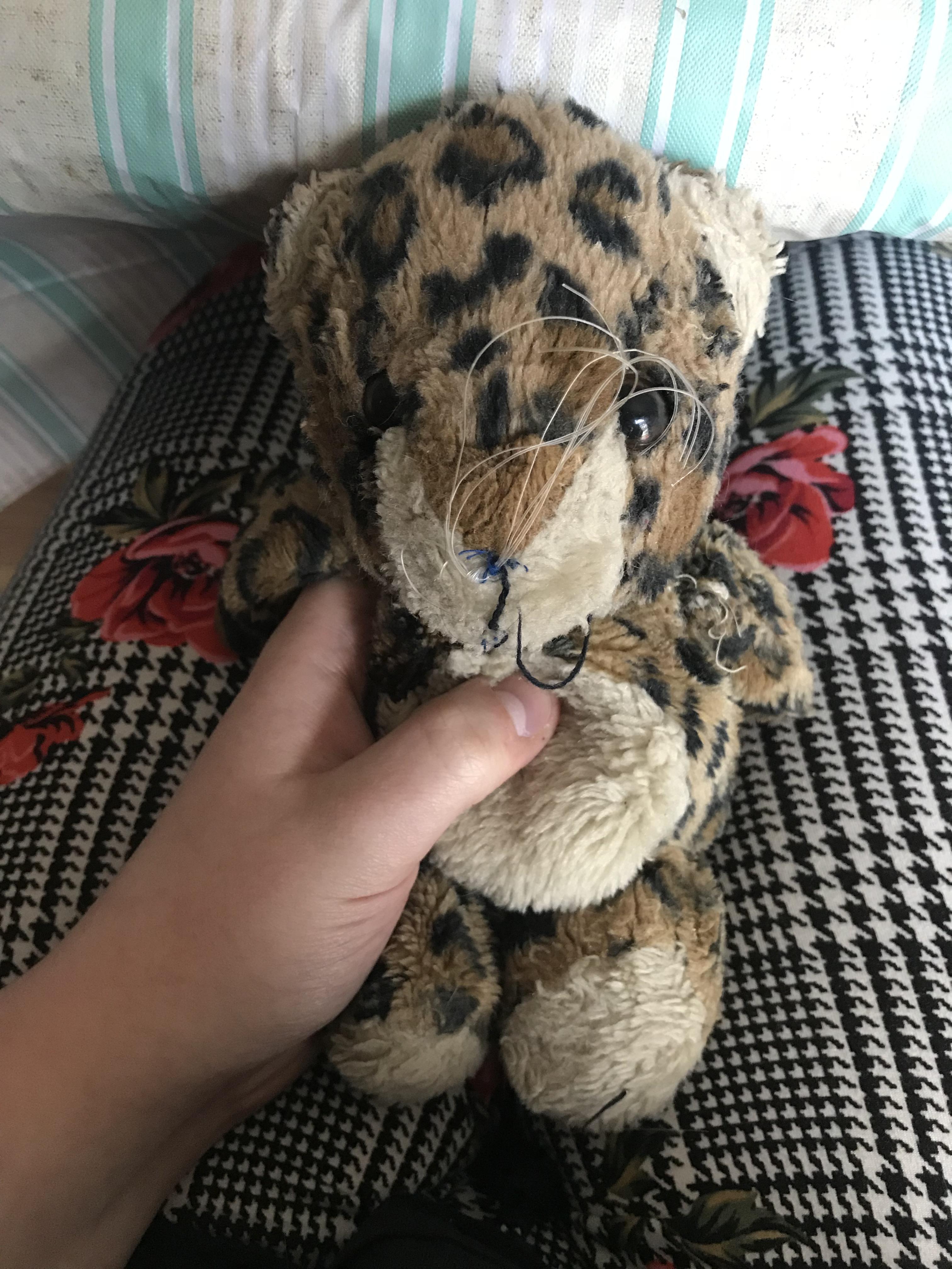 This is my stuffed animal, Bombber. I've had him since I was 4. I'm now