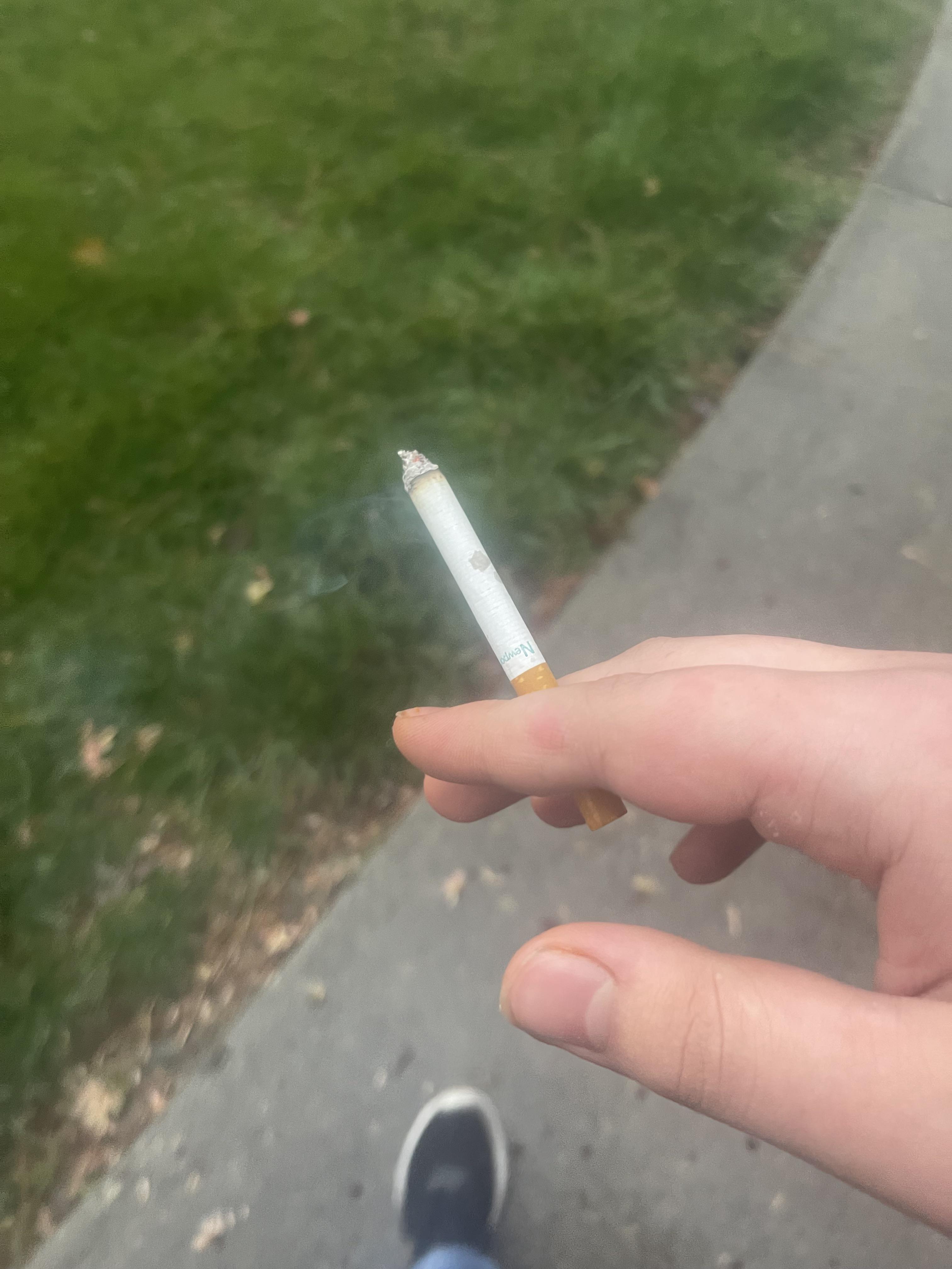 Am I seriously the only one who cannot stand menthol? Like every time I