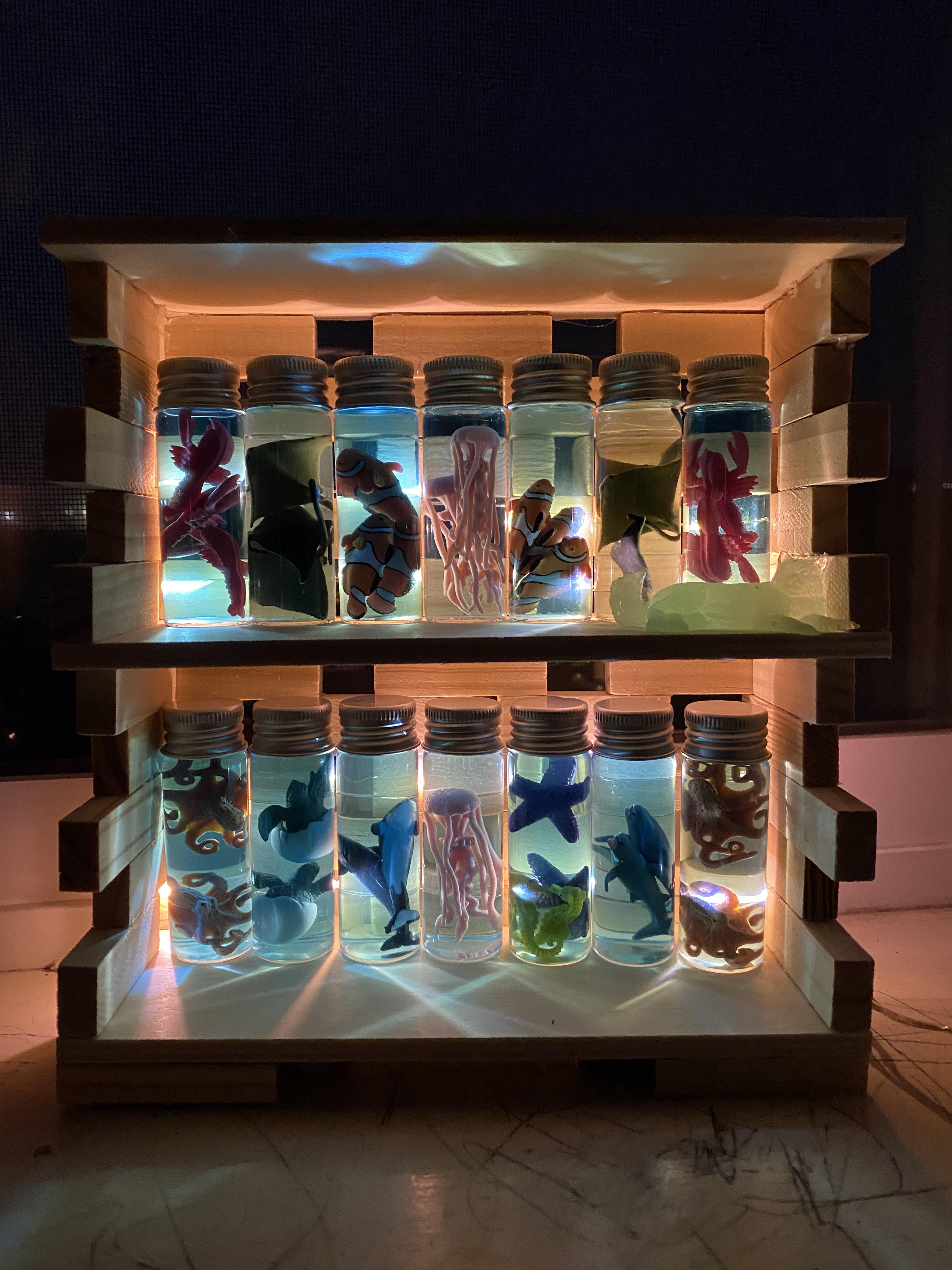 I made a shelf and some back lighting for my tiny aquarium. r/Dollhouses