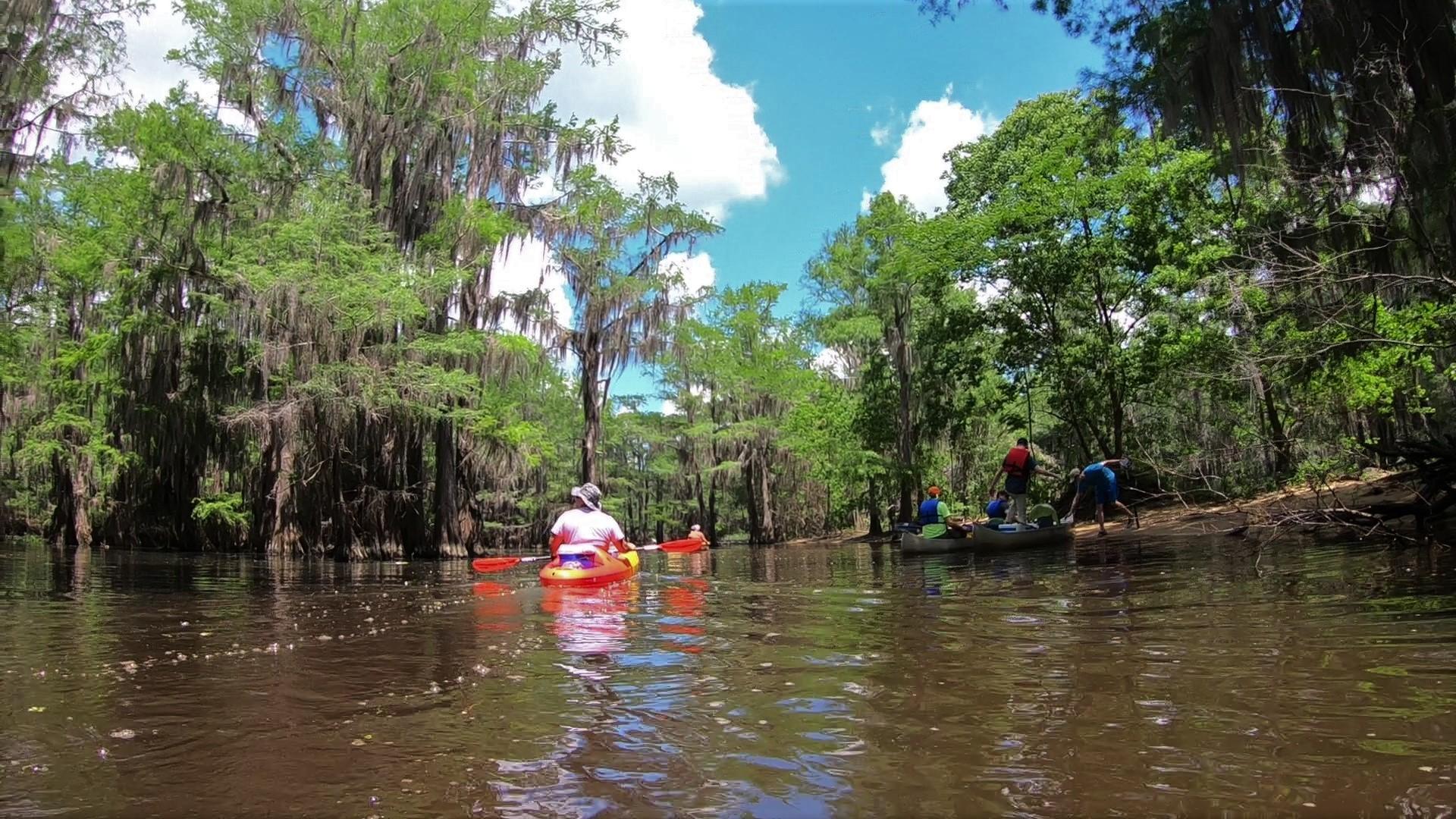 Caddo Lake State Park Kayaking r/Kayaking