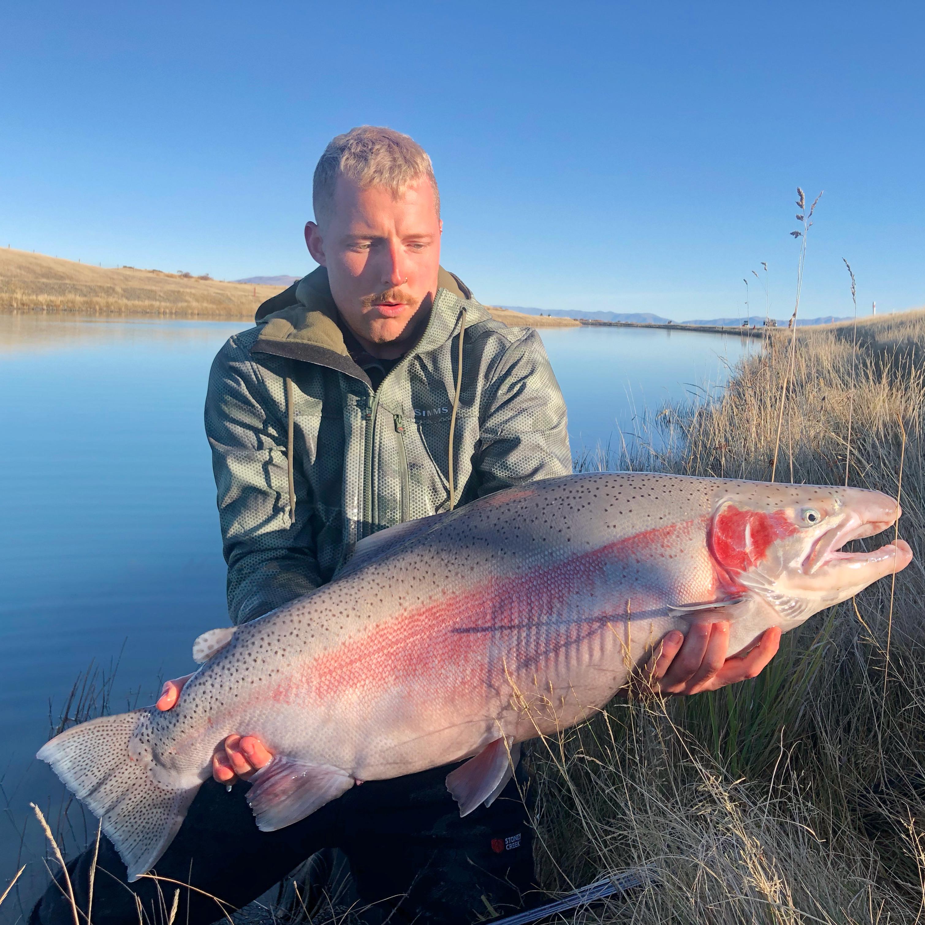 Decent winter rainbow. South Island New Zealand r/Fishing