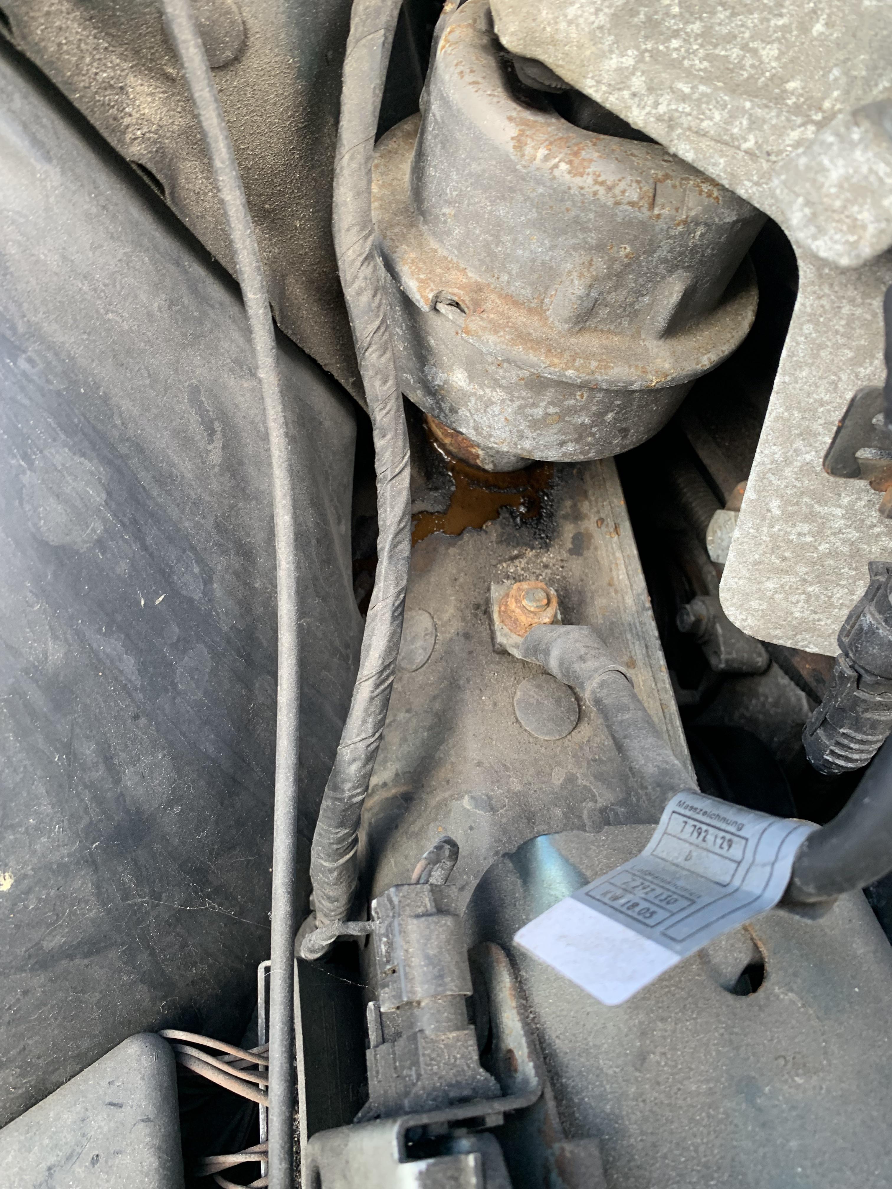 Suffering an engine mount leak on a 2005 mini one. Are these mounts