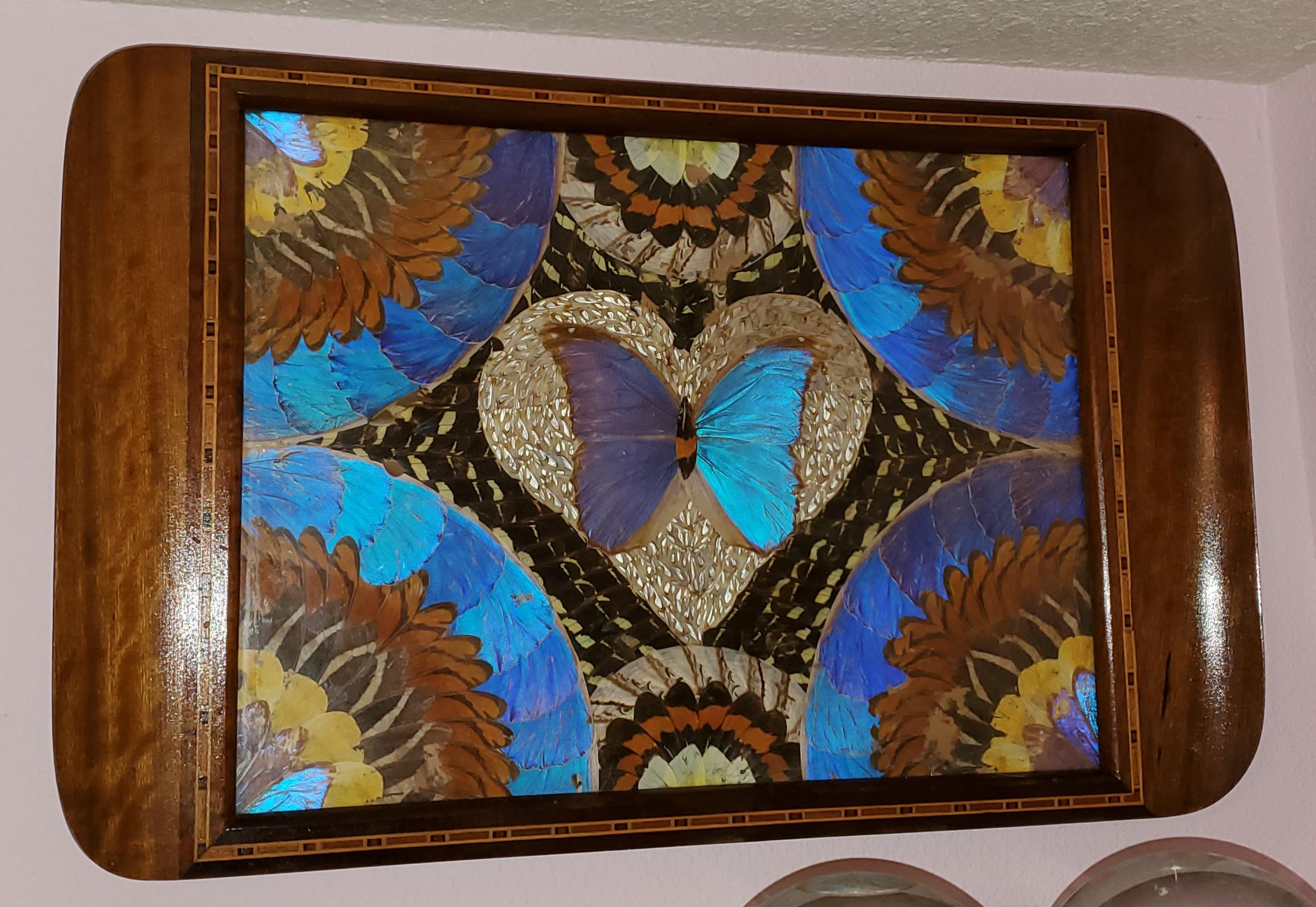 Vintage Butterfly serving tray art, made with real butterflies! For