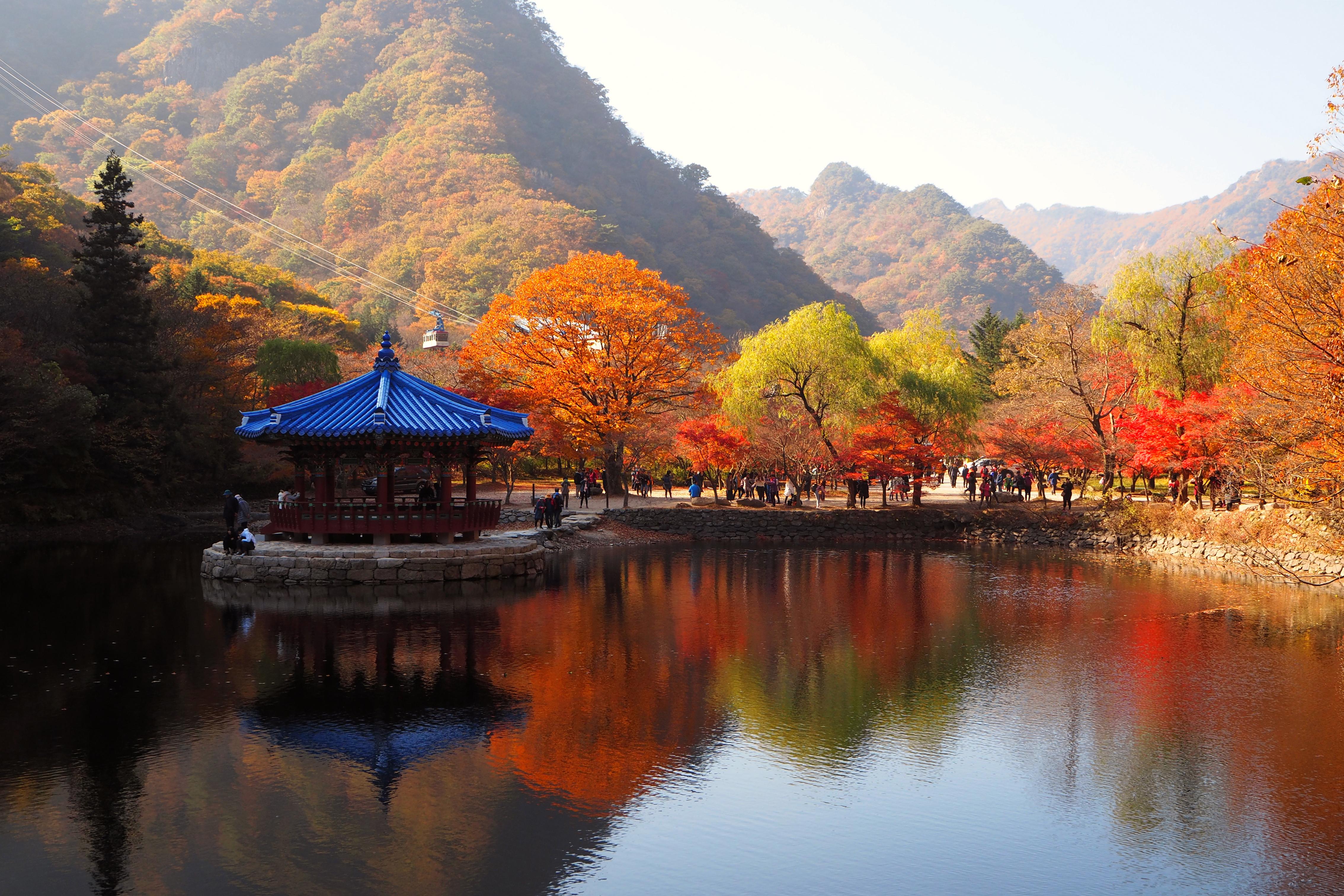 Naejangsan National Park in the Autumn (3hrs drive from