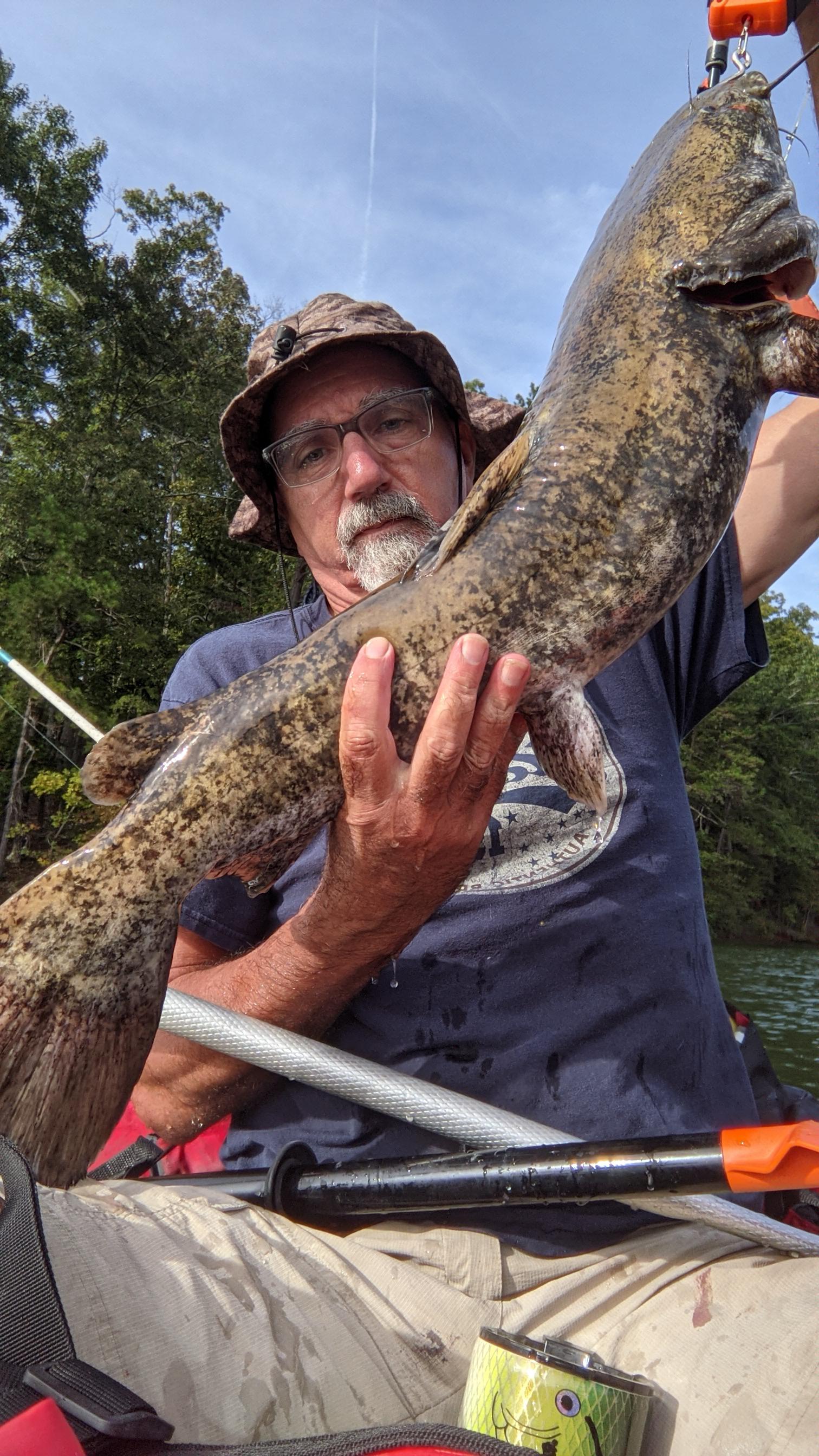 Nice flathead on lake Lanier this morning! r/catfishing