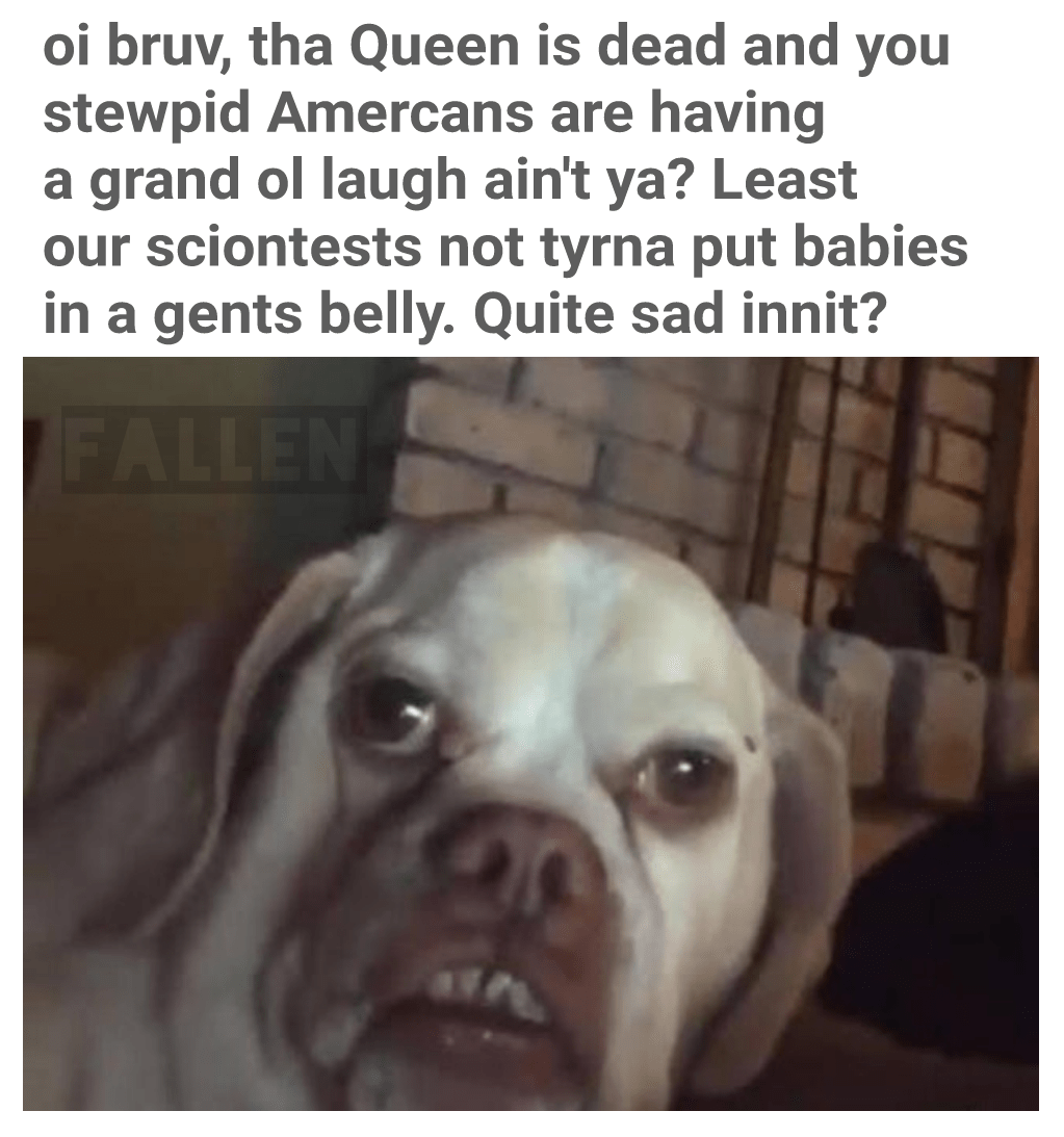 long live the king r/dankmemes