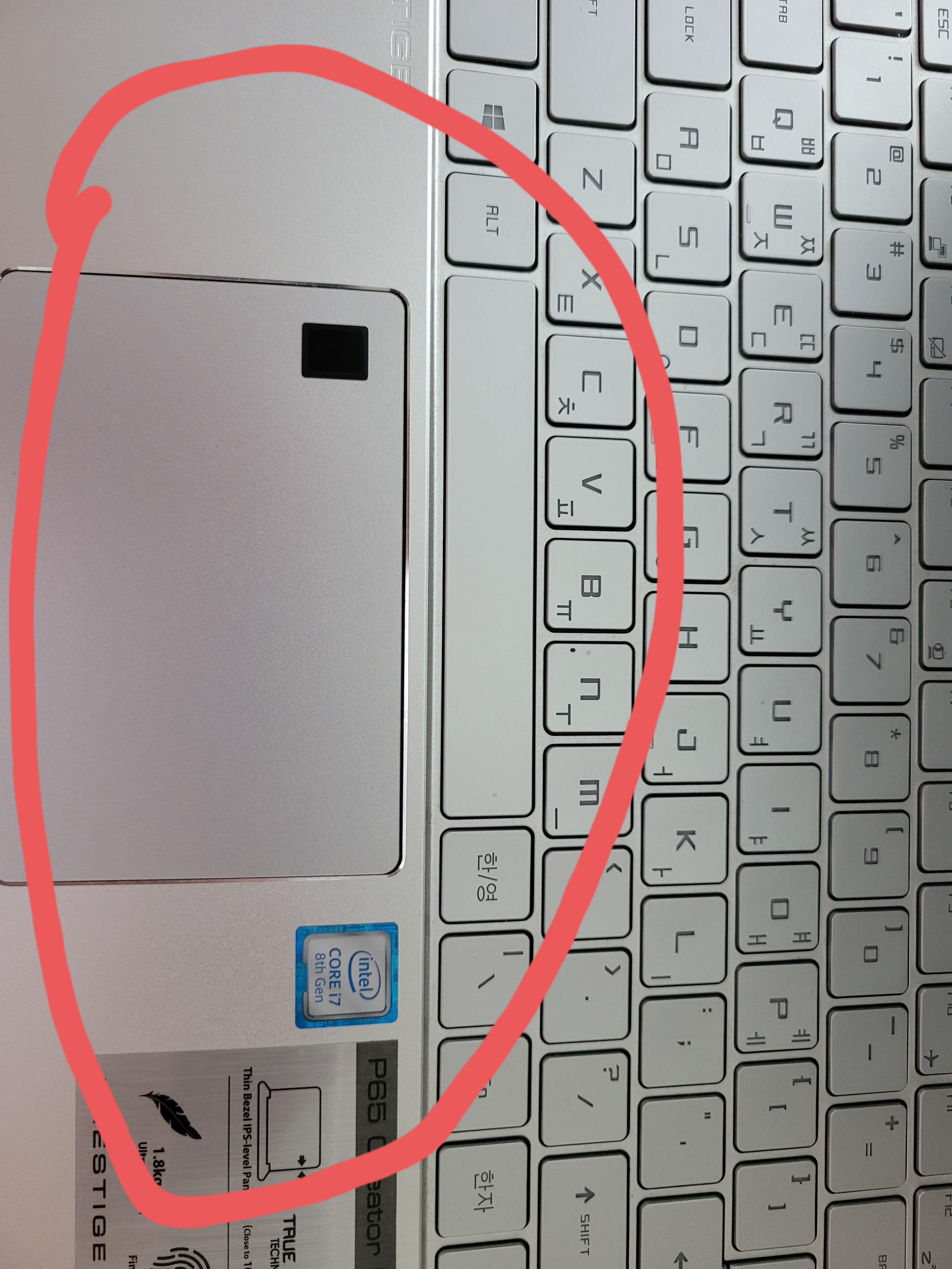 My laptop is swelling up in the area I have circled in red, the