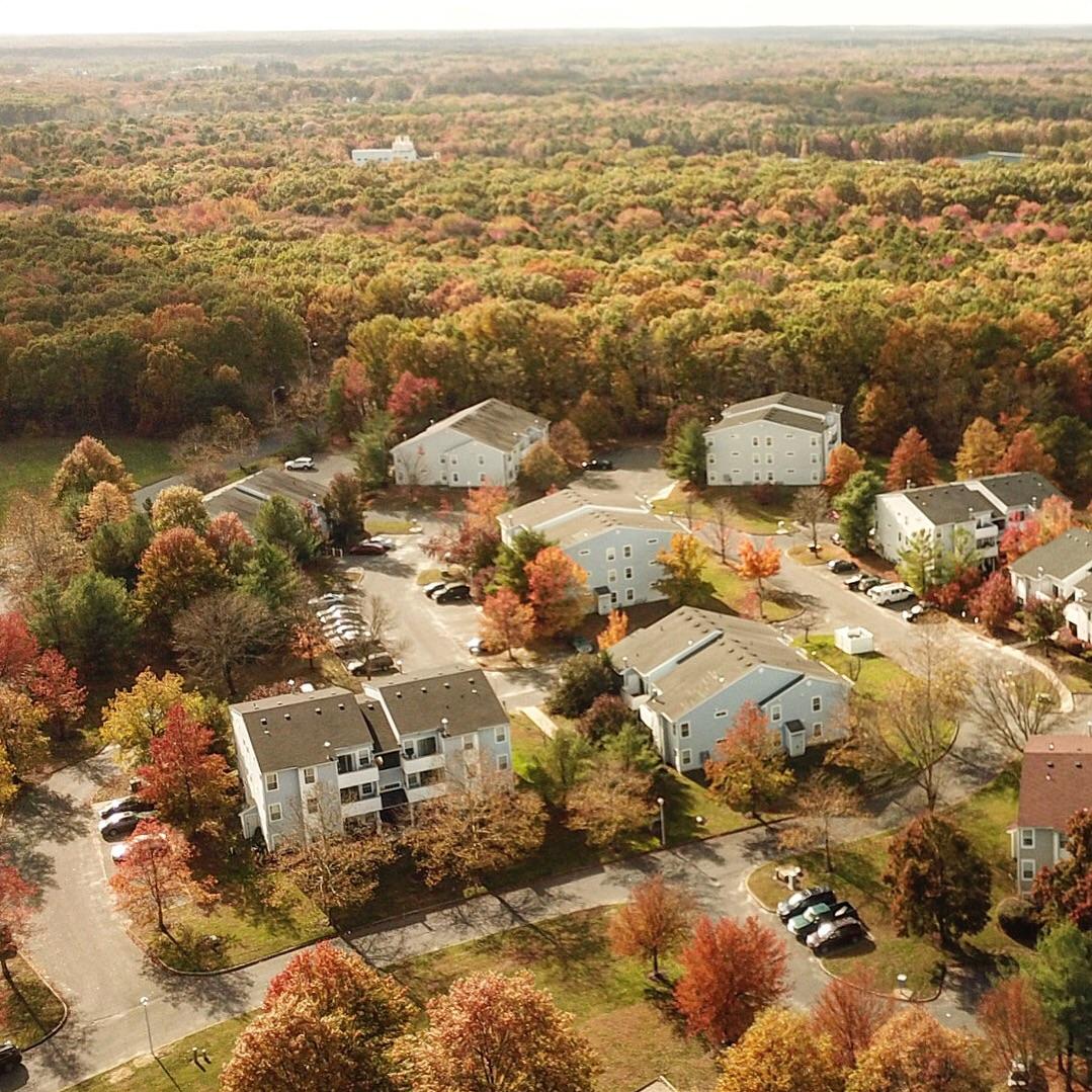 Monmouth County in Autumn r/newjersey