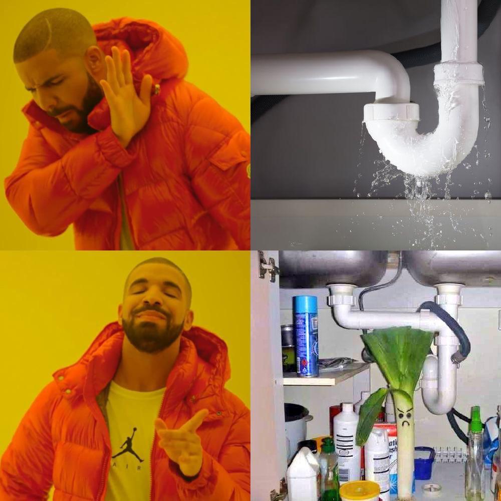 “Honey, there’s a serious leak in the kitchen sink!” r/memes