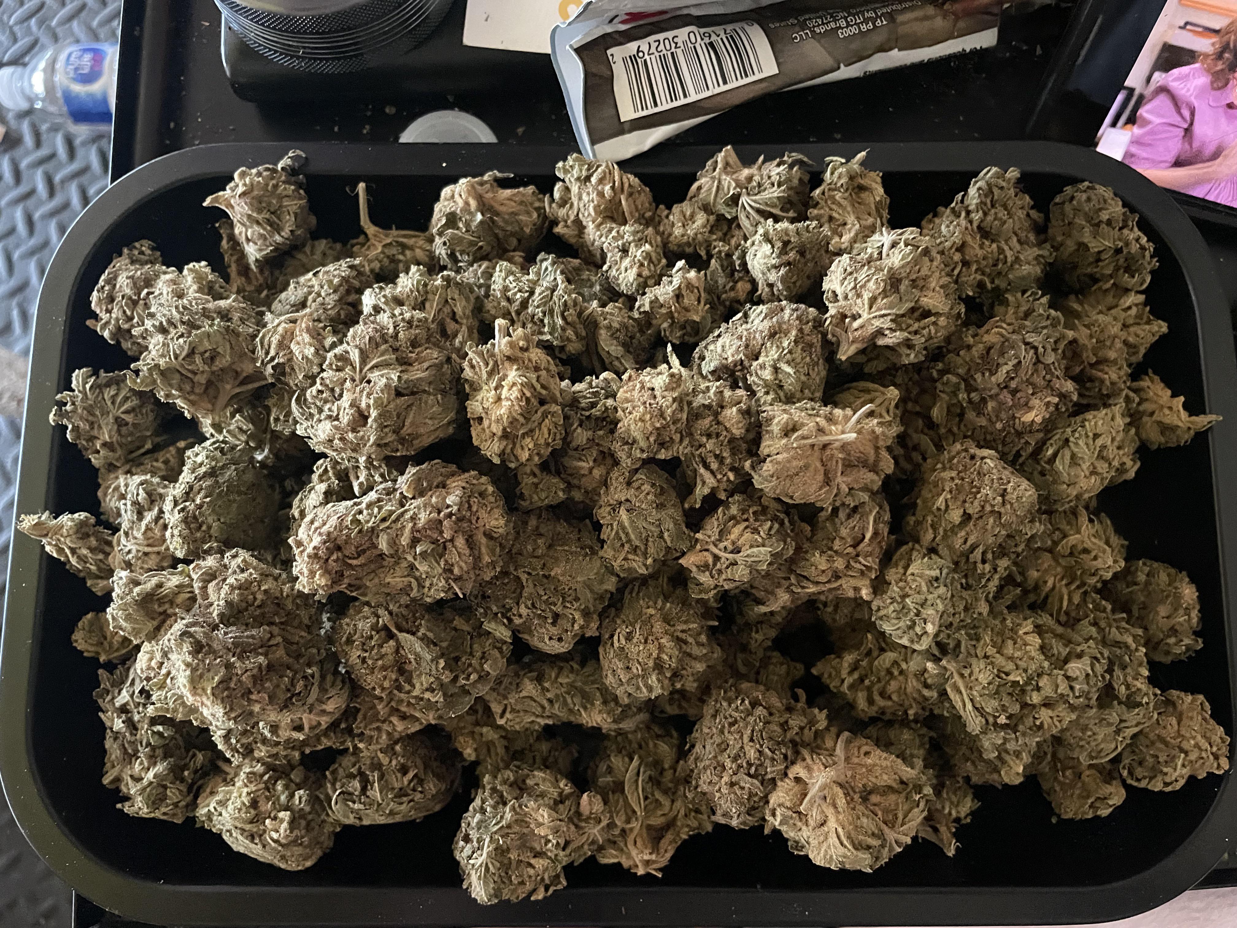 I got a quarter pound for 165 today r/trees