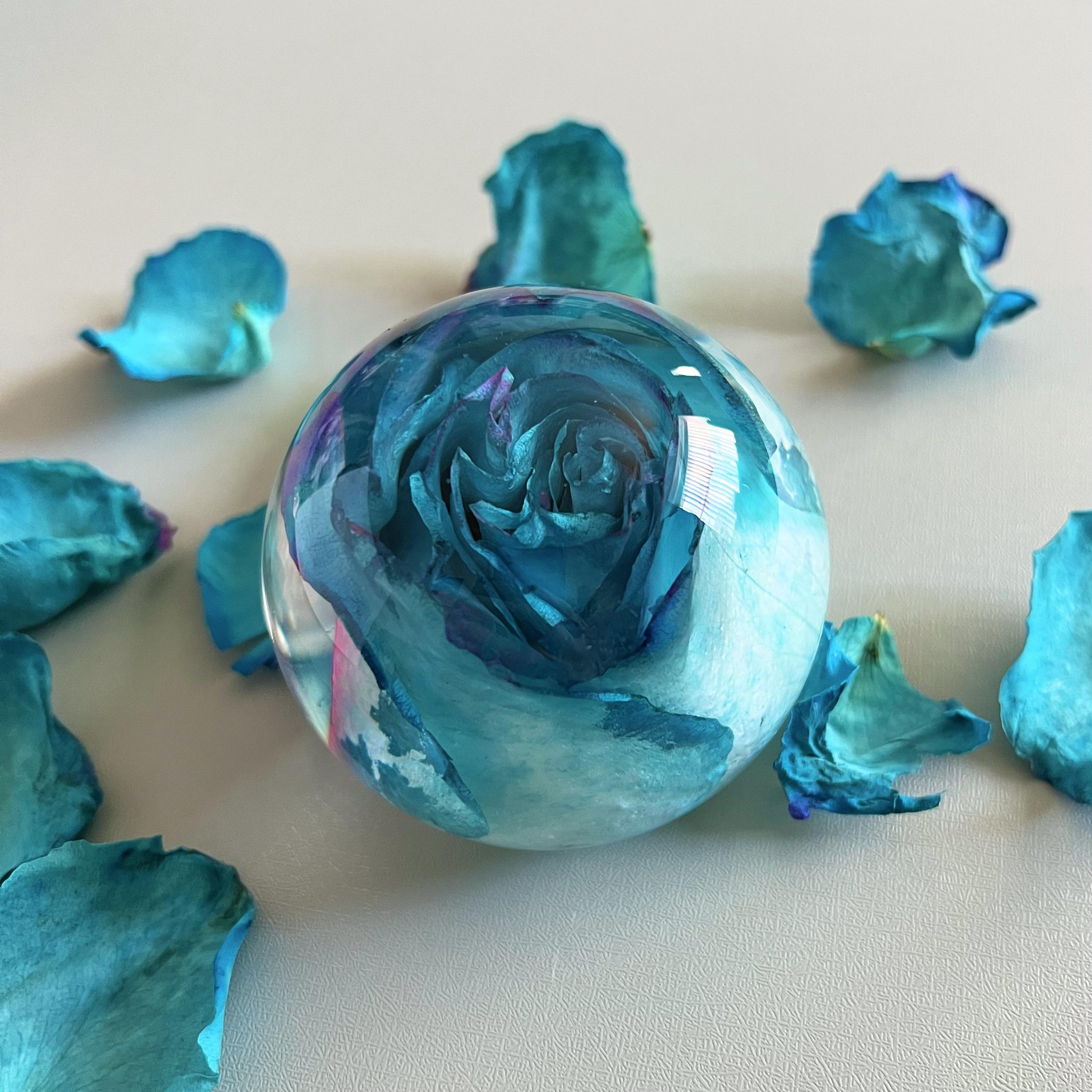 1782 best Blue Roses images on Pholder Animal Crossing, Ac