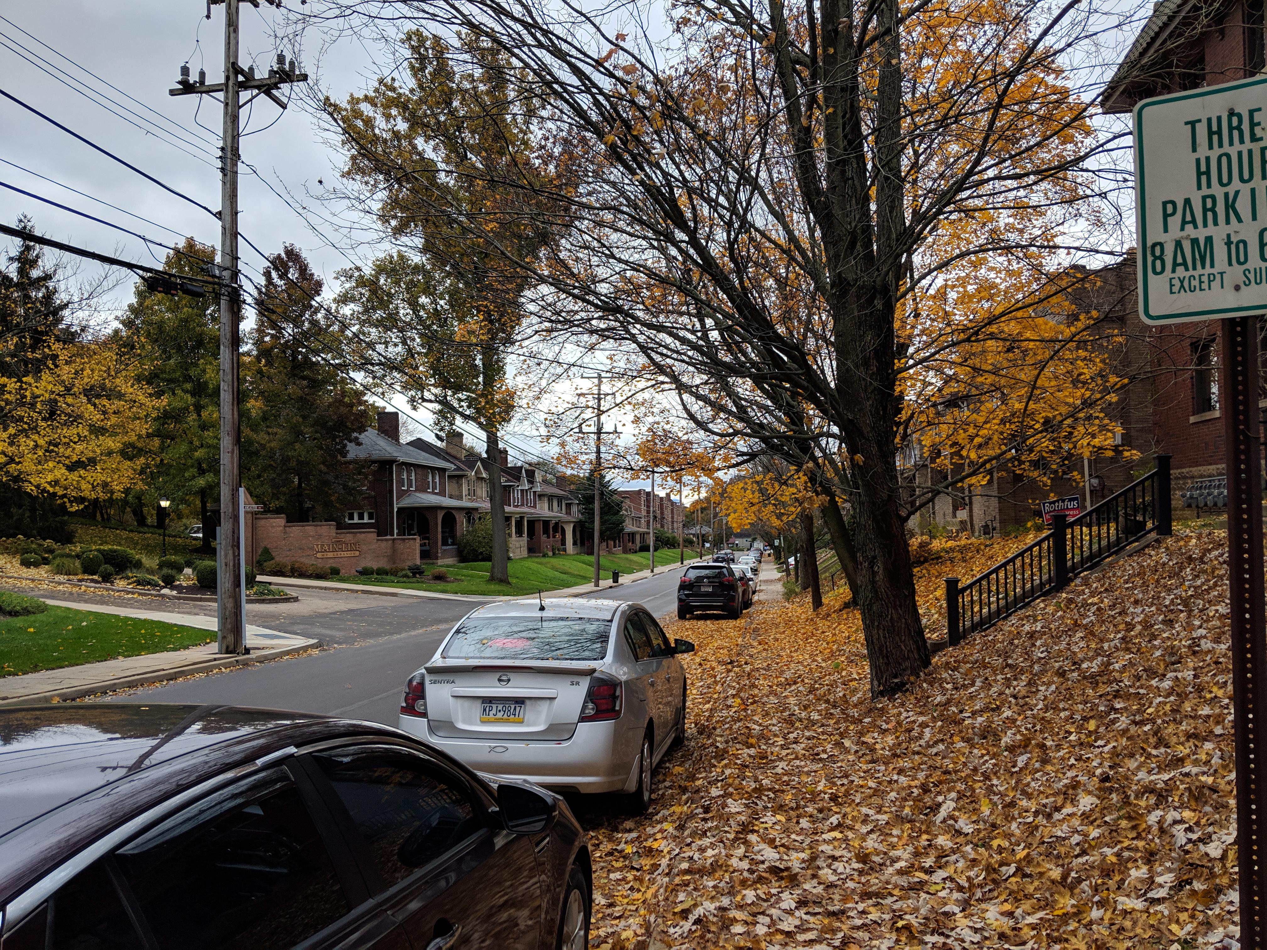 Shady Drive East covered in Leaves (Lebo) r/pittsburgh