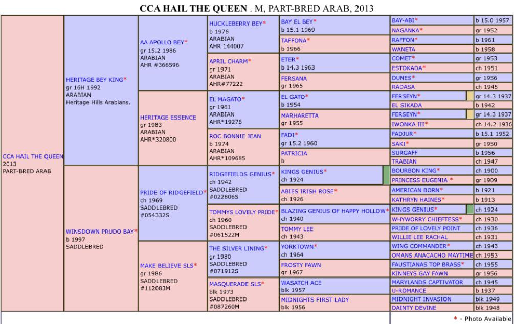 this is my horses pedigree! anyone have any similar parents or
