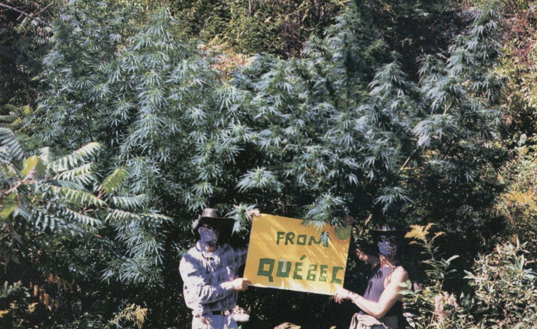 Québec Guerrilla Growers, 1988 r/VintageTrees