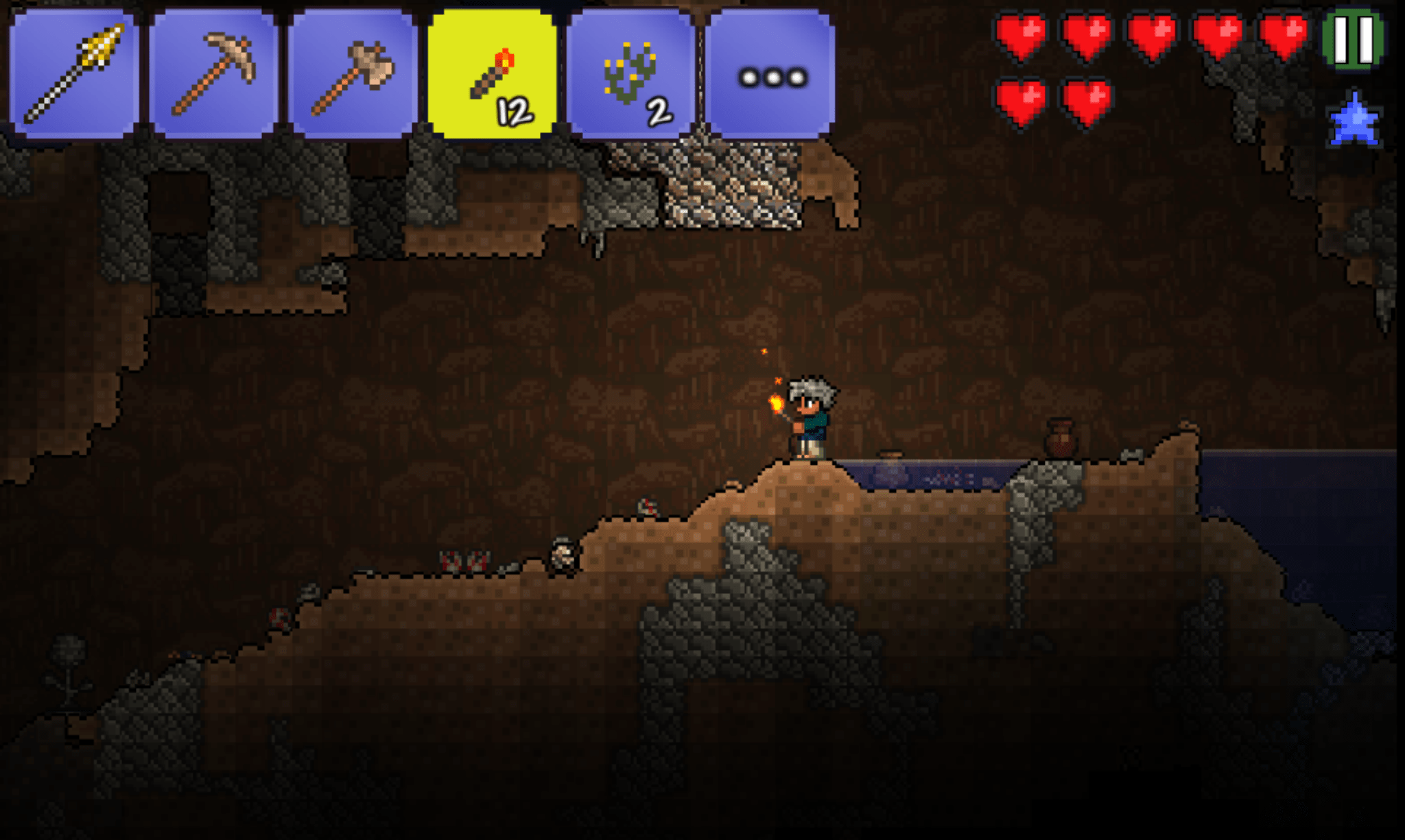 I passed two boulders with a magic carpet r/Terraria