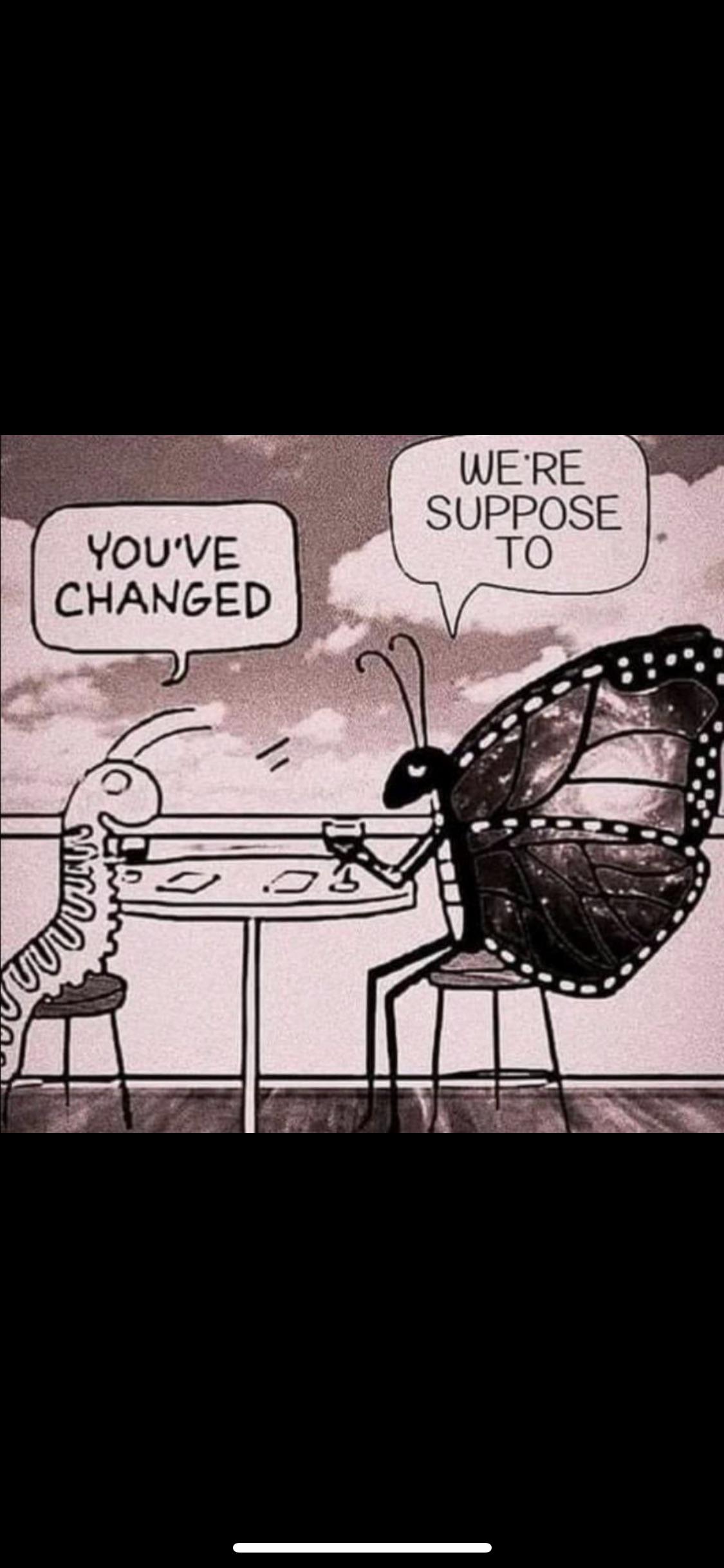 From Music for Earthworms to SWFG r/aesoprock