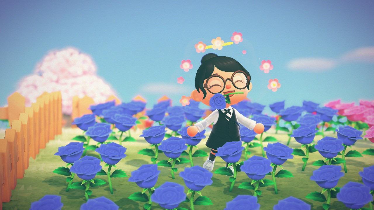 Farah Learning Fun Black And Purple Flowers Acnh How To Create