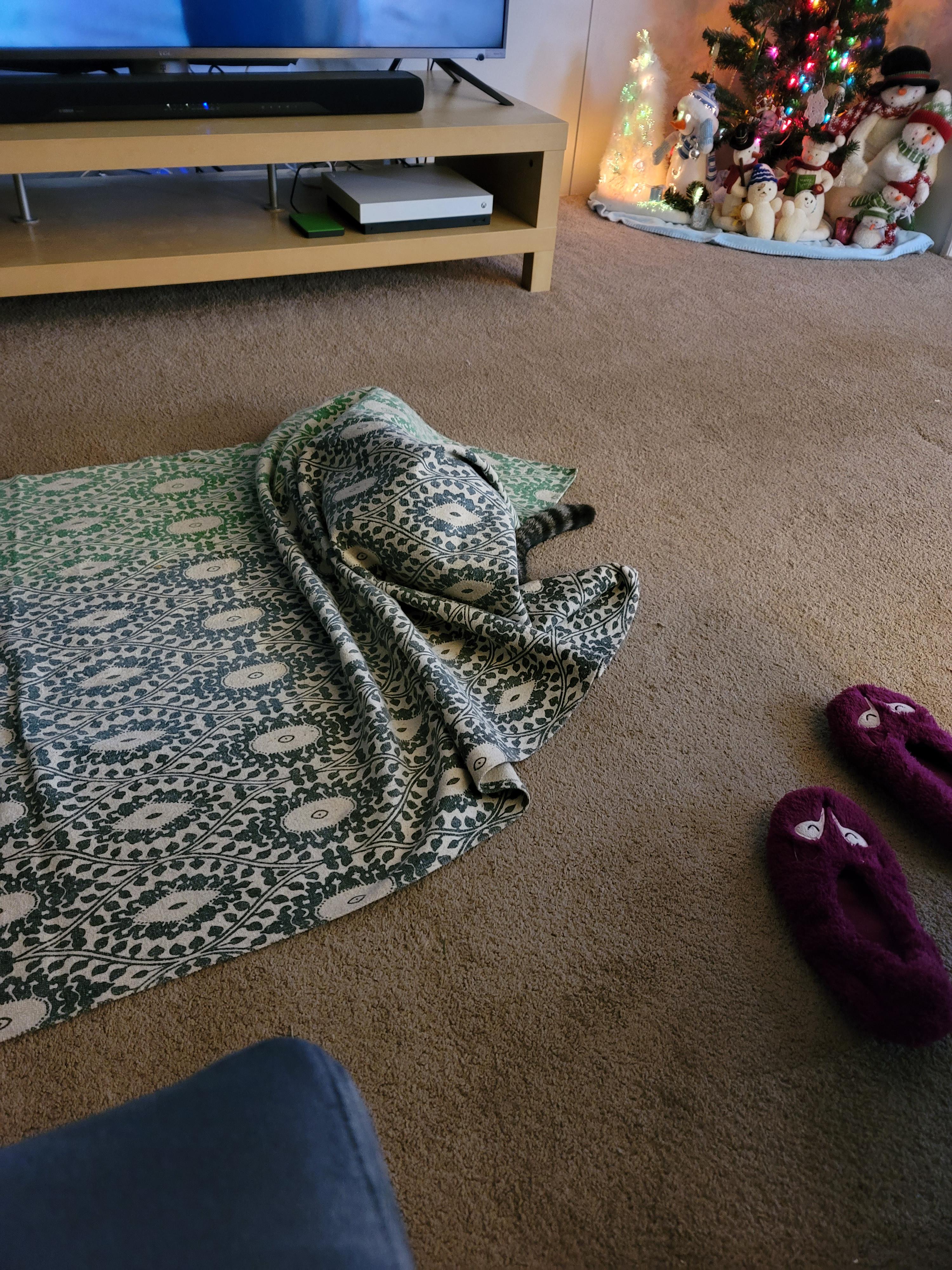 There's a cat under that rug. She will not leave it alone. r