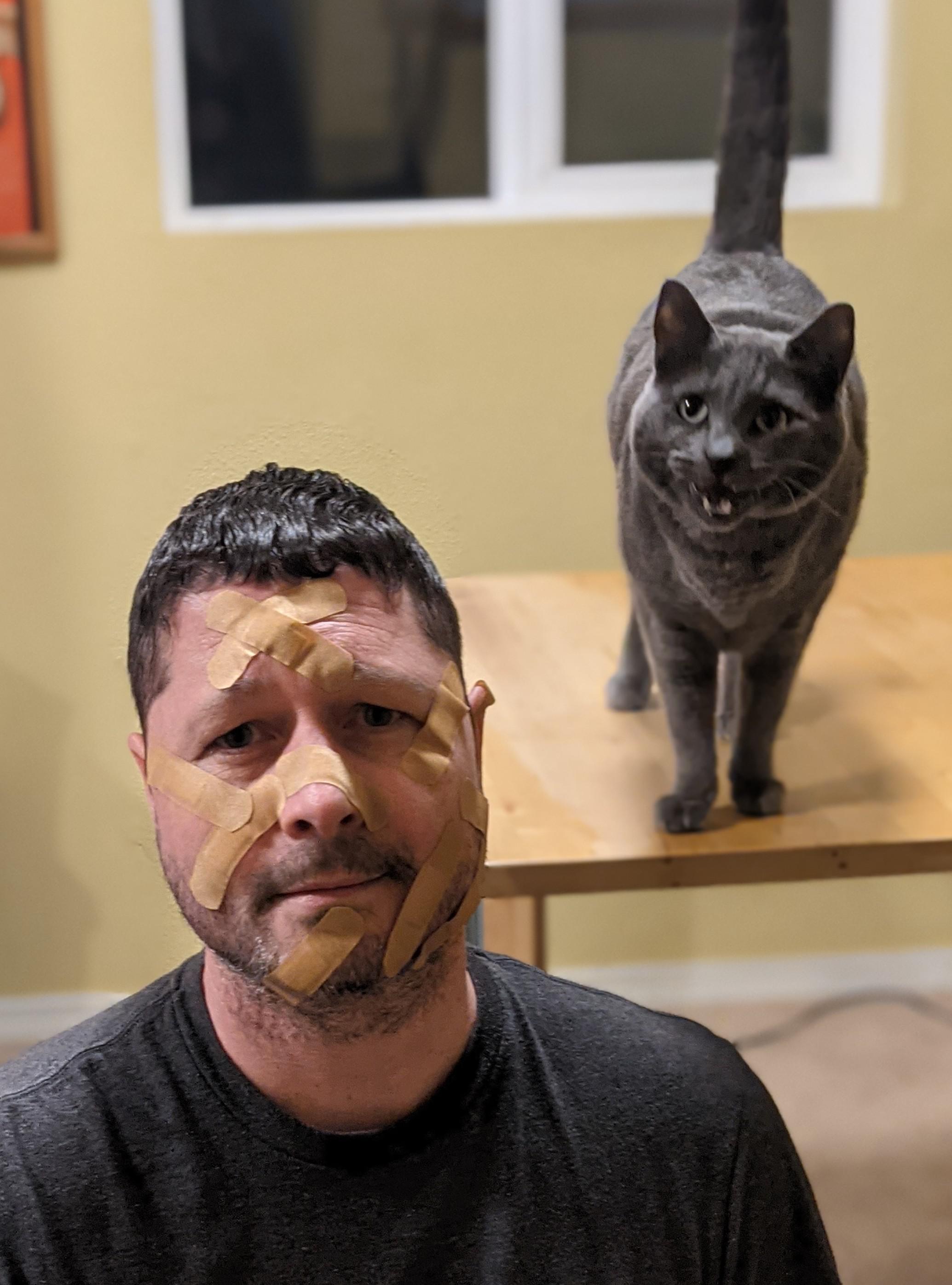 Funy pets Shoulder cat will be fun, they said..