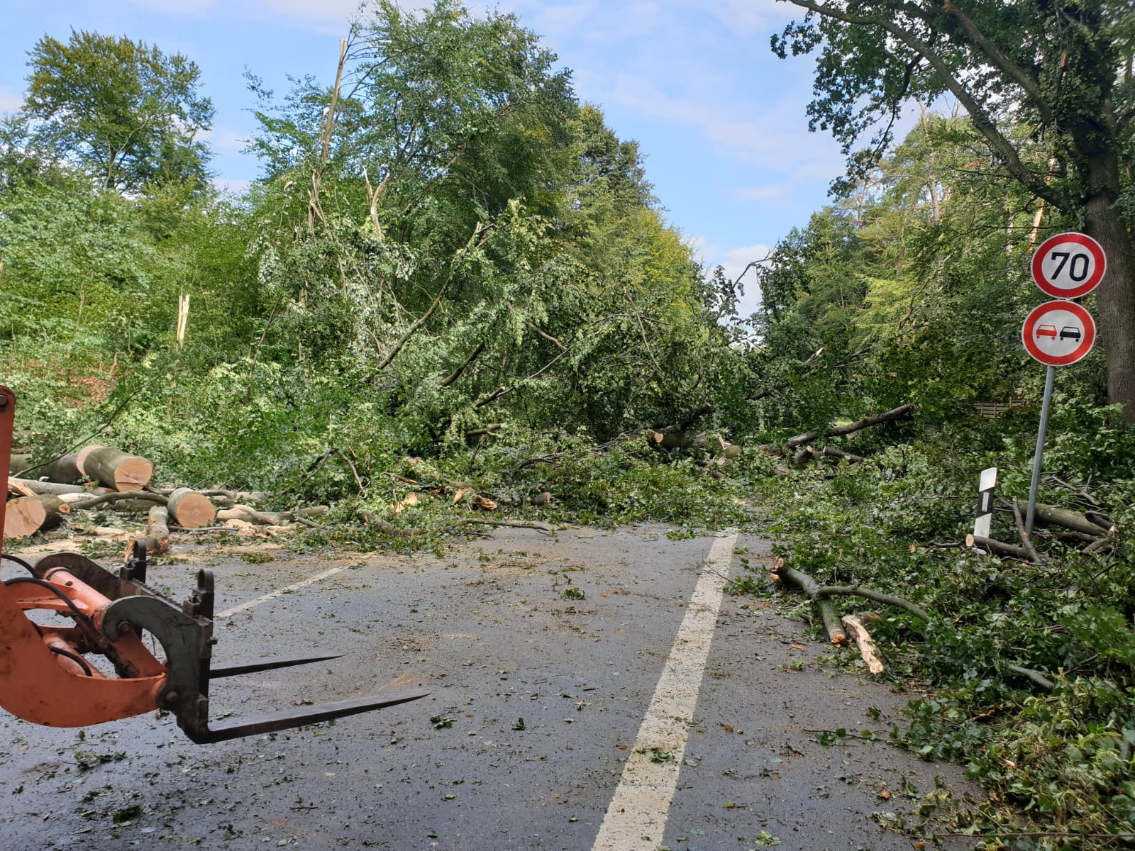 Aftermath of a big Storm in Germany near Frankfurt r/natureismetal