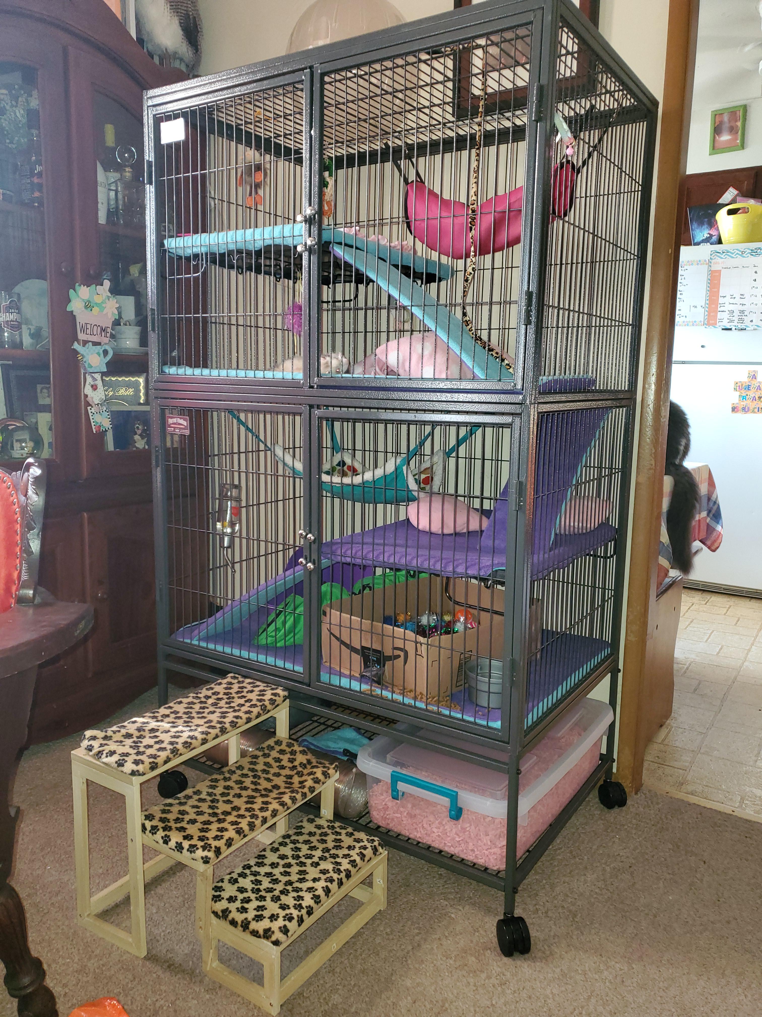 Got her a new cage yesterday. Ferret nation, very roomy for one ferret