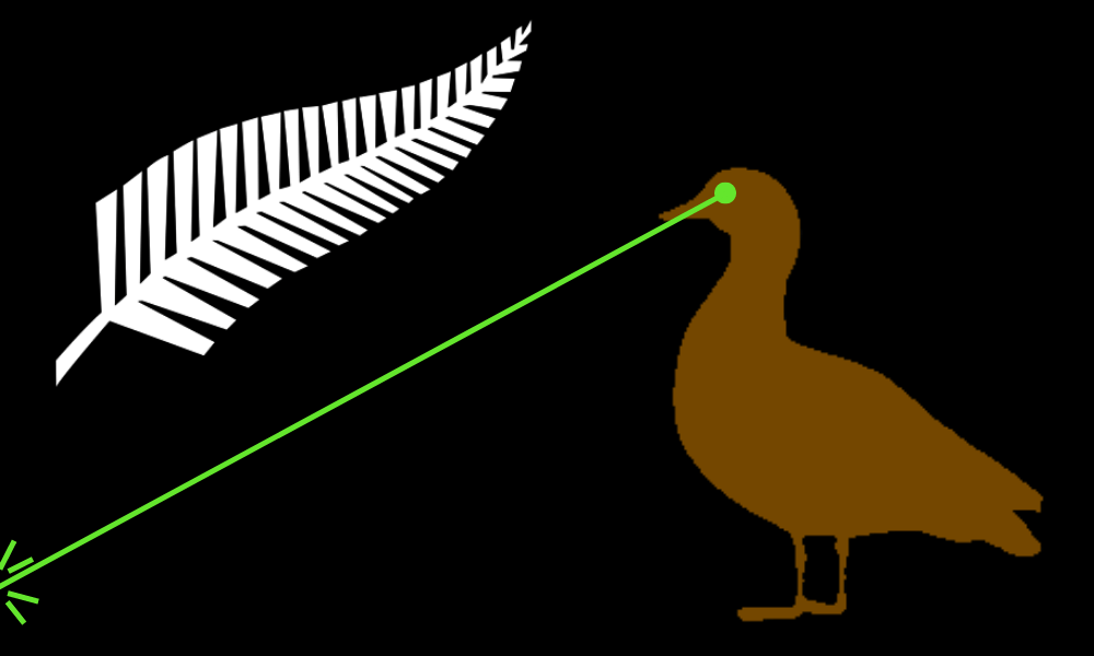 Laser Kiwi flag if New Zealand's national bird was the Paradise