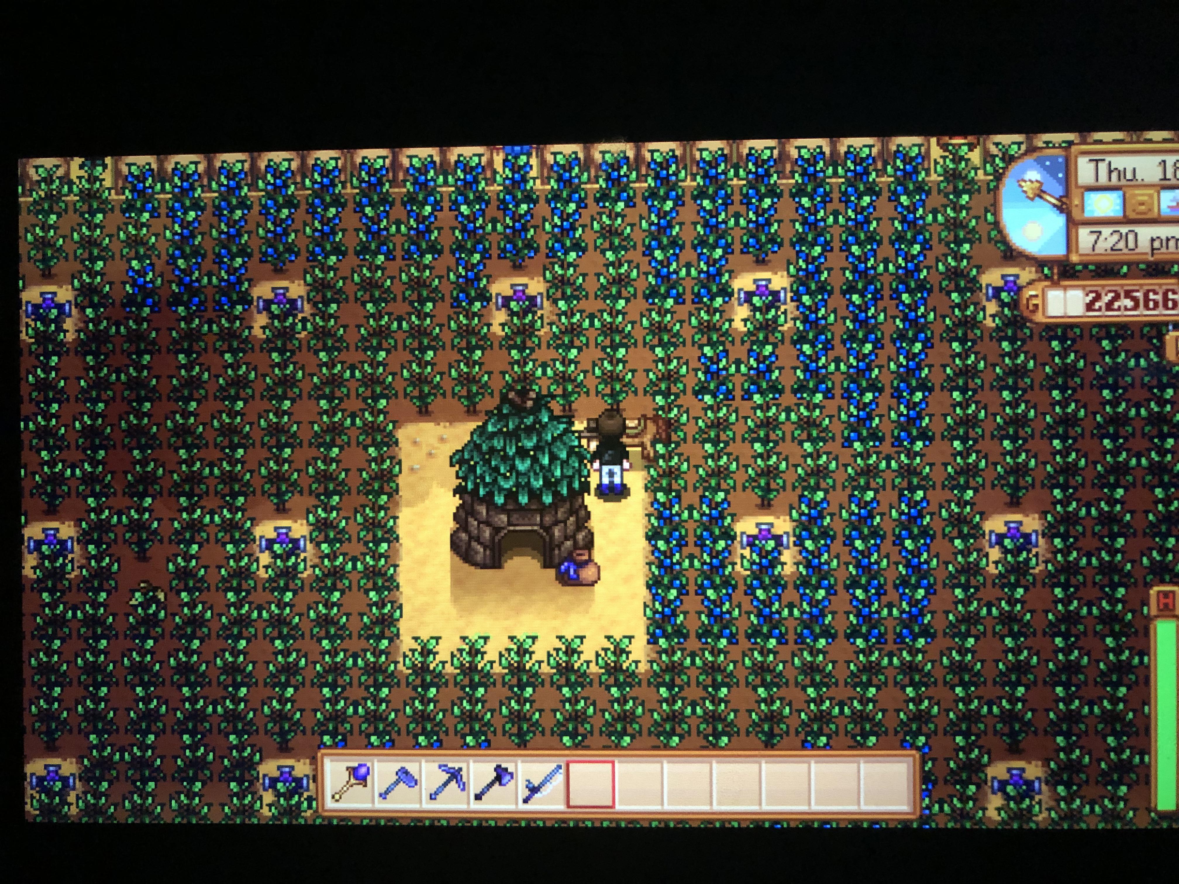 The junimos didn’t harvest all of my crops today... any idea why this