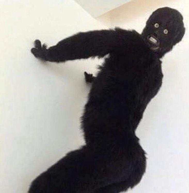 Cursed furry Cursed_Images