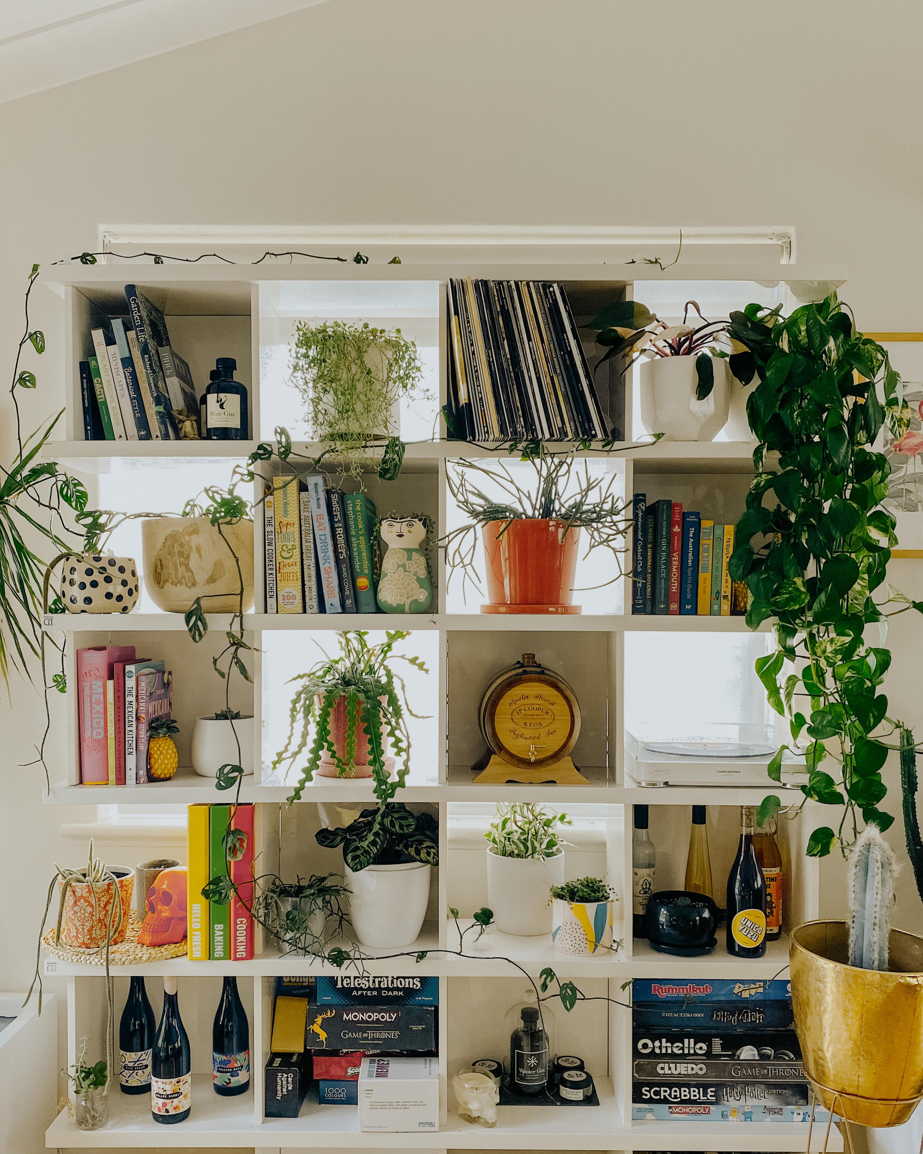 Let me take a shelfie