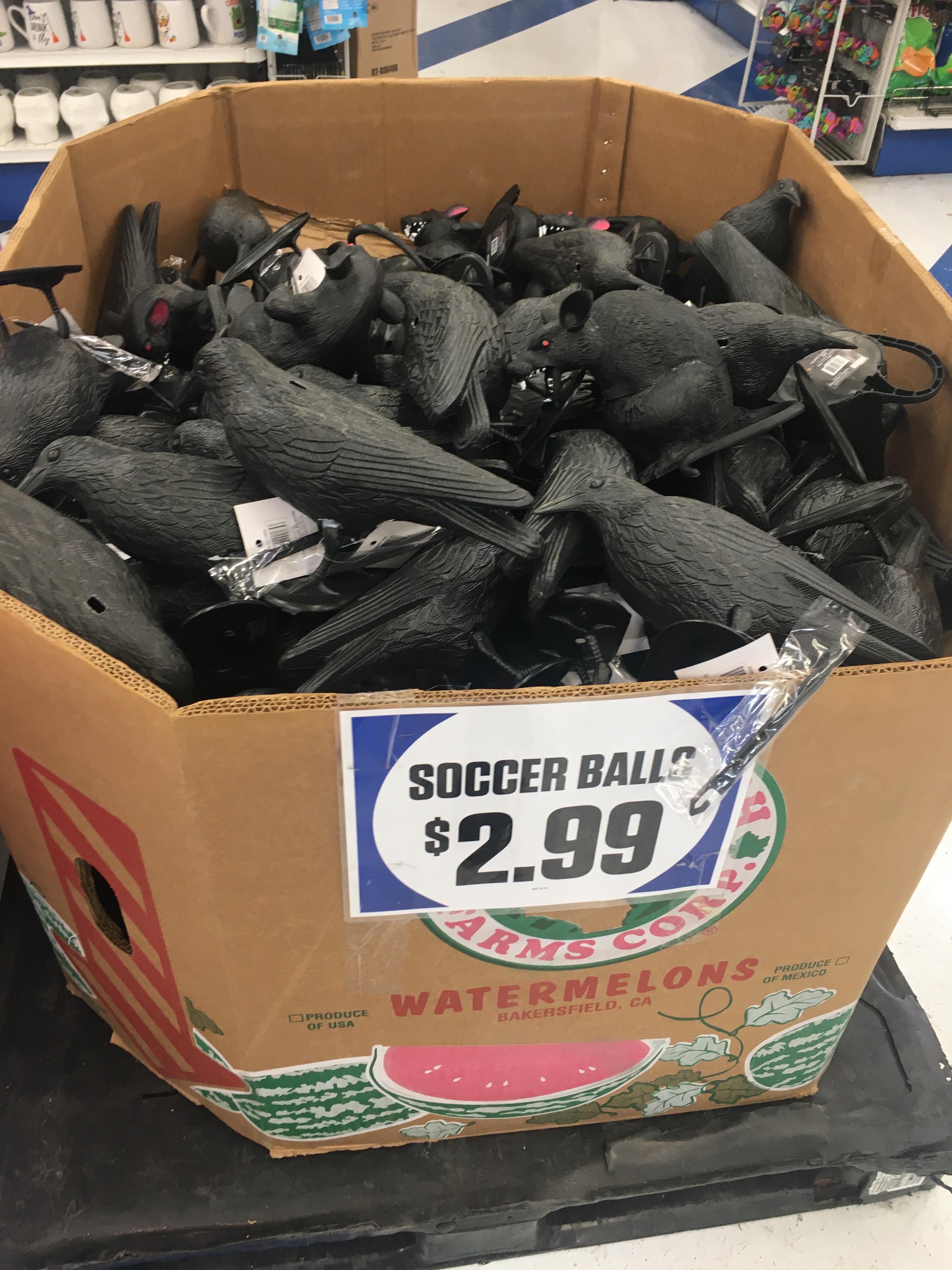 Found at local 99 cent store.. r/funny