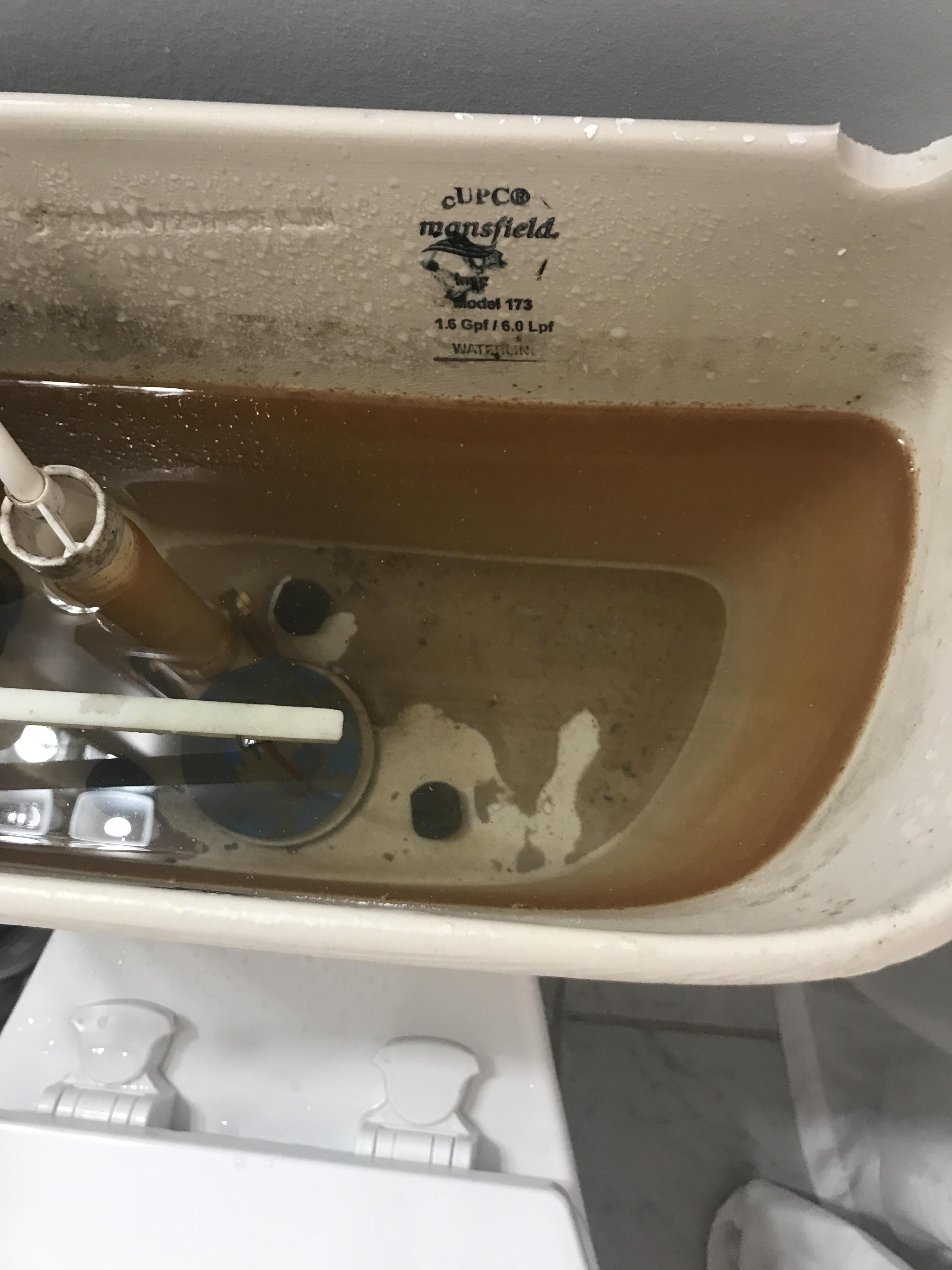 Just got a new well dug and that’s loose sediment at the tank bottom