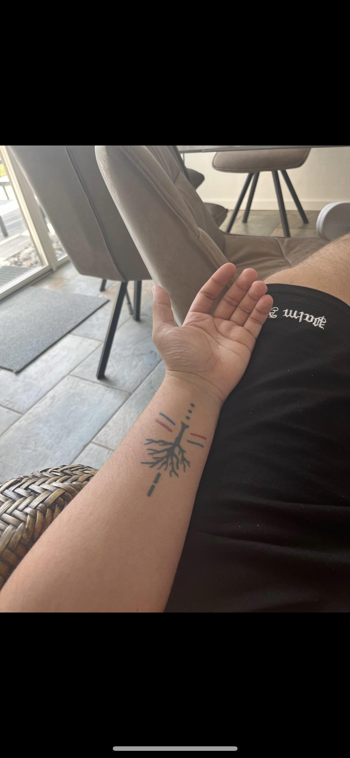 overview for venusontheflipside