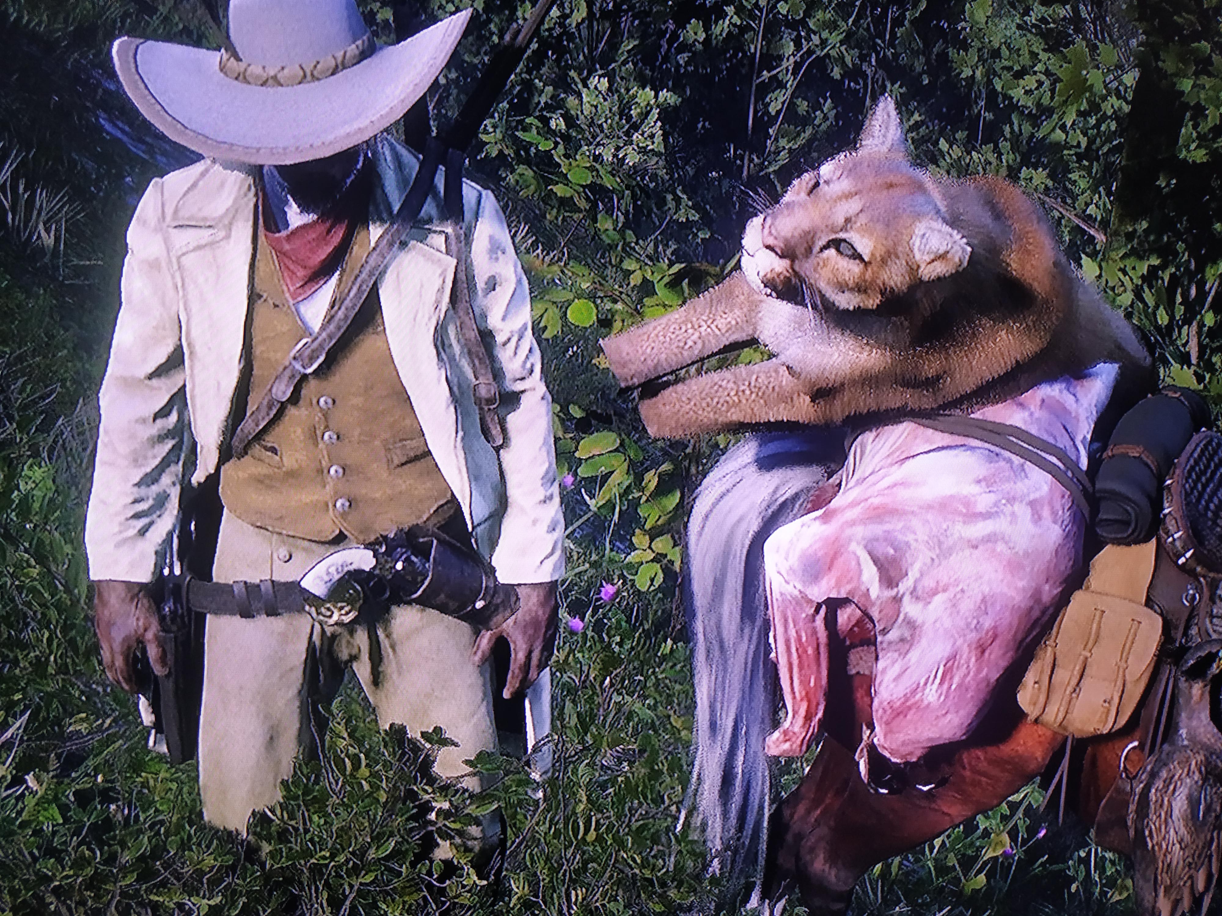 Sorry cougar machine broke