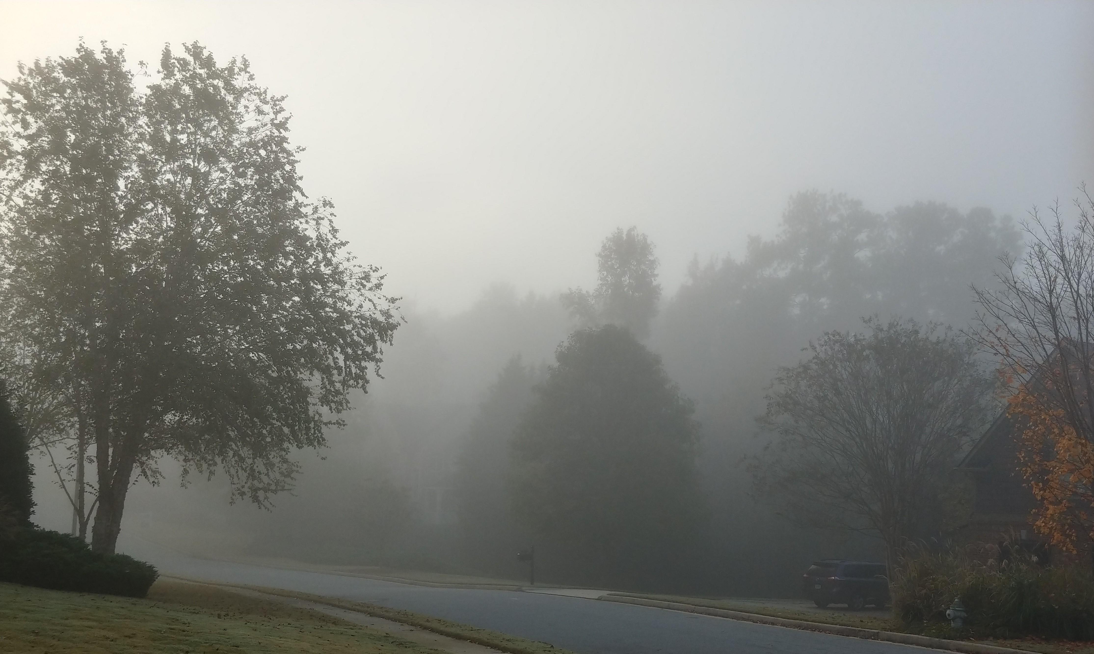 Really foggy morning in r/FoggyPics