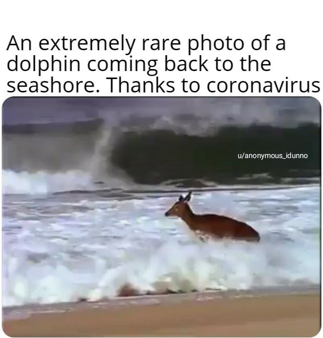 The nature is healing itself! r/memes