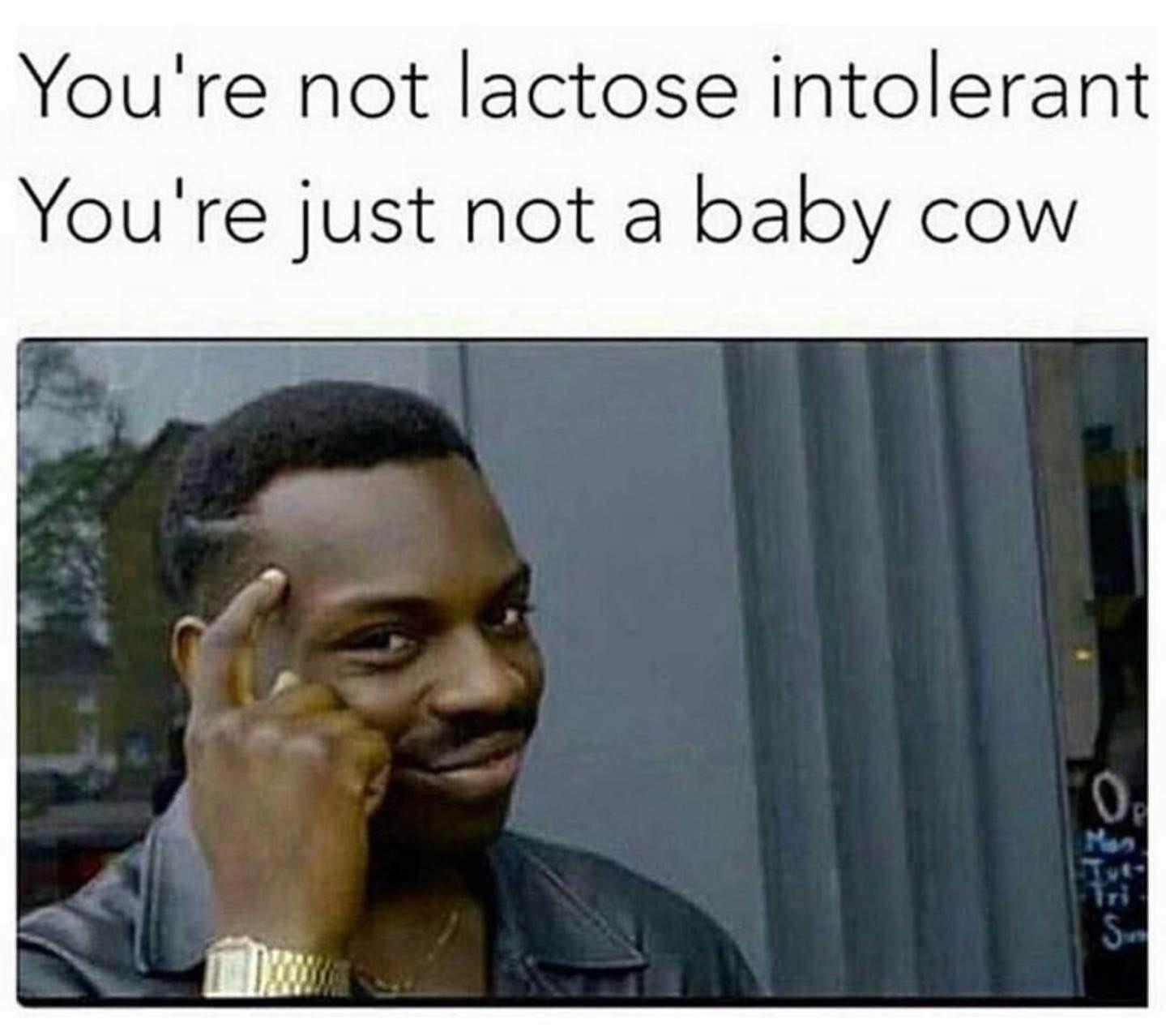 You're not lactose intolerant r/vegan