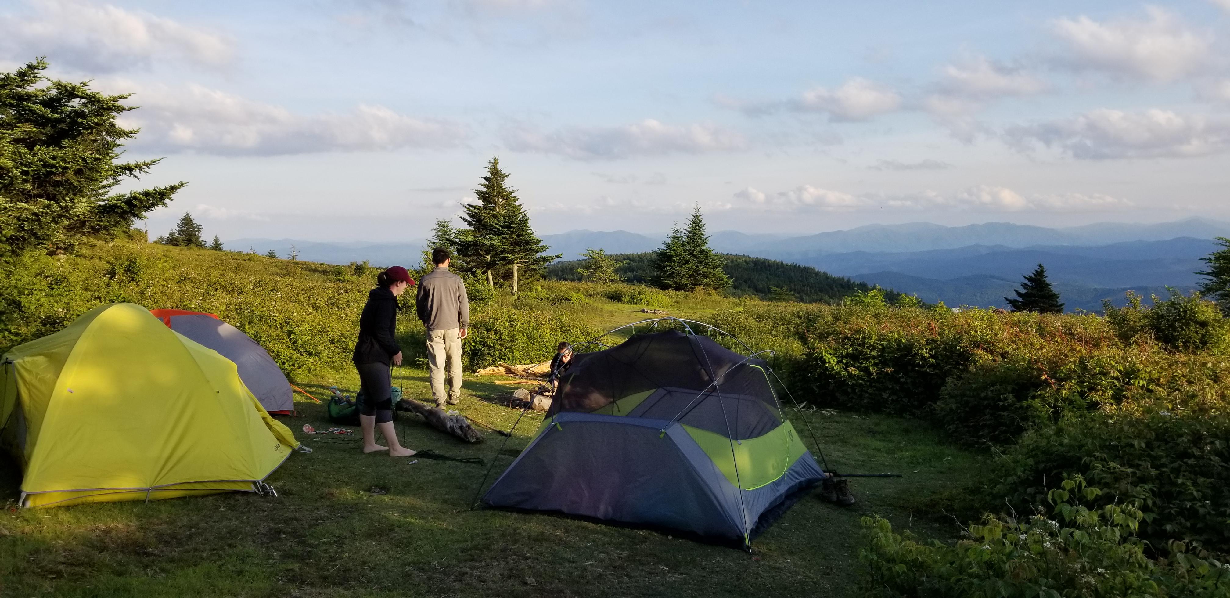 The view from Grayson Highlands in Virginia r/camping