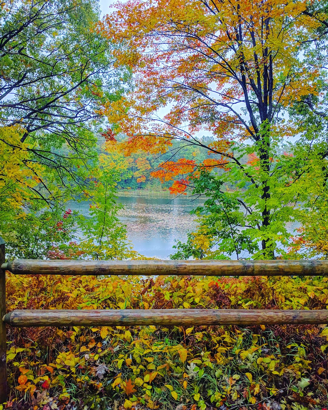 fall in Michigan at Gaylord Rest Area on i75 N r/pics