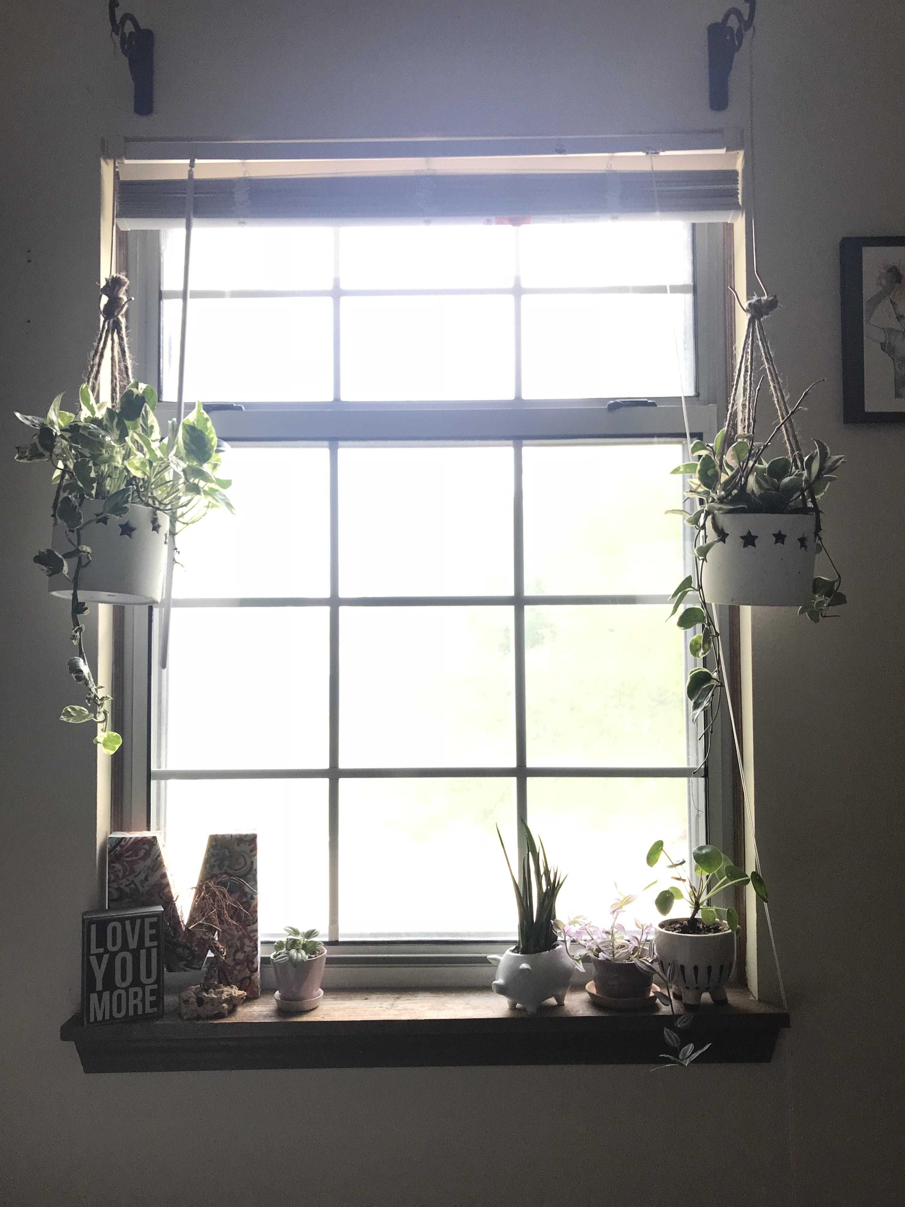 After a year of living in a basement with no windows, I’d say I’ve made