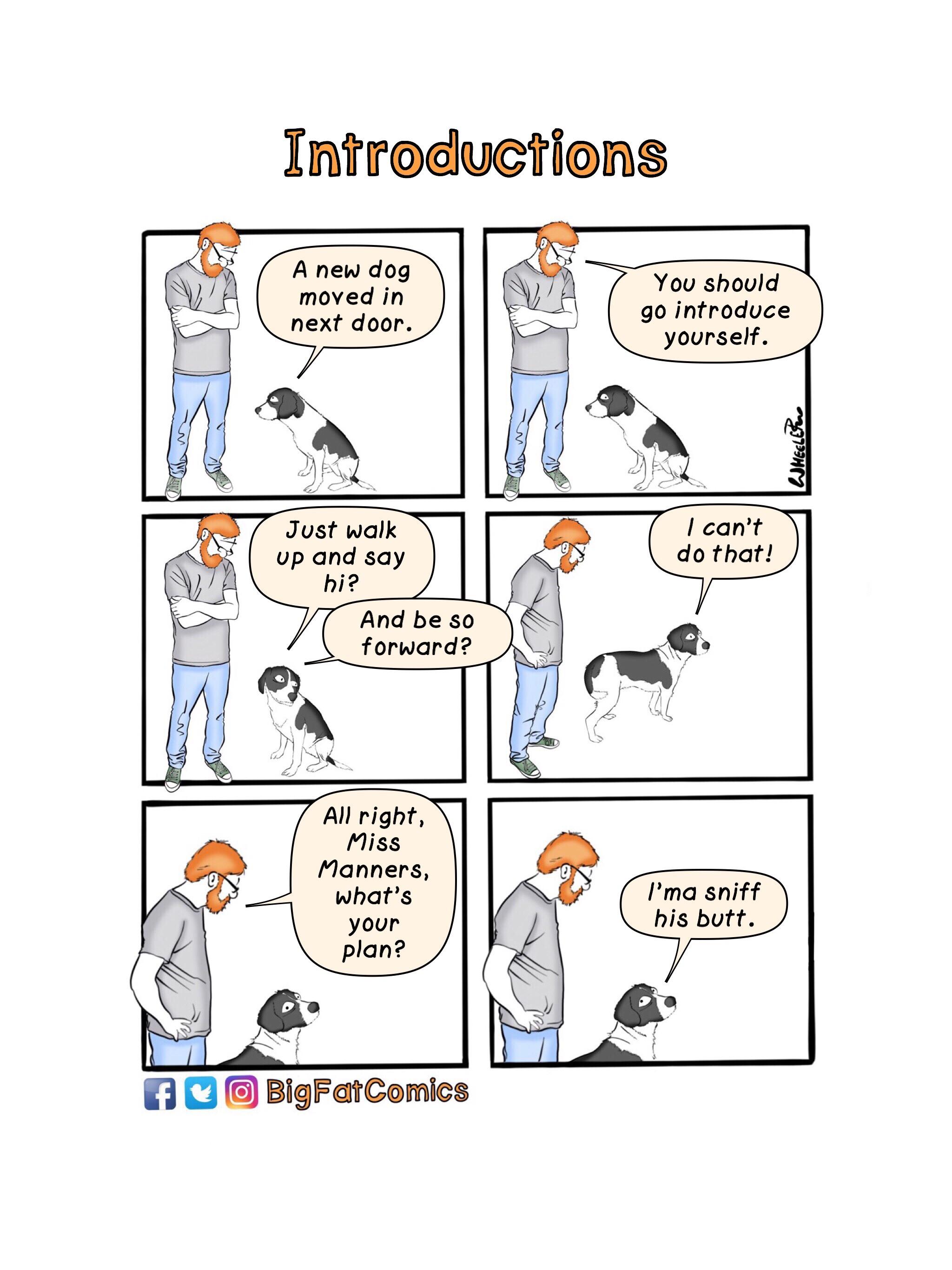 Introductions r/funny