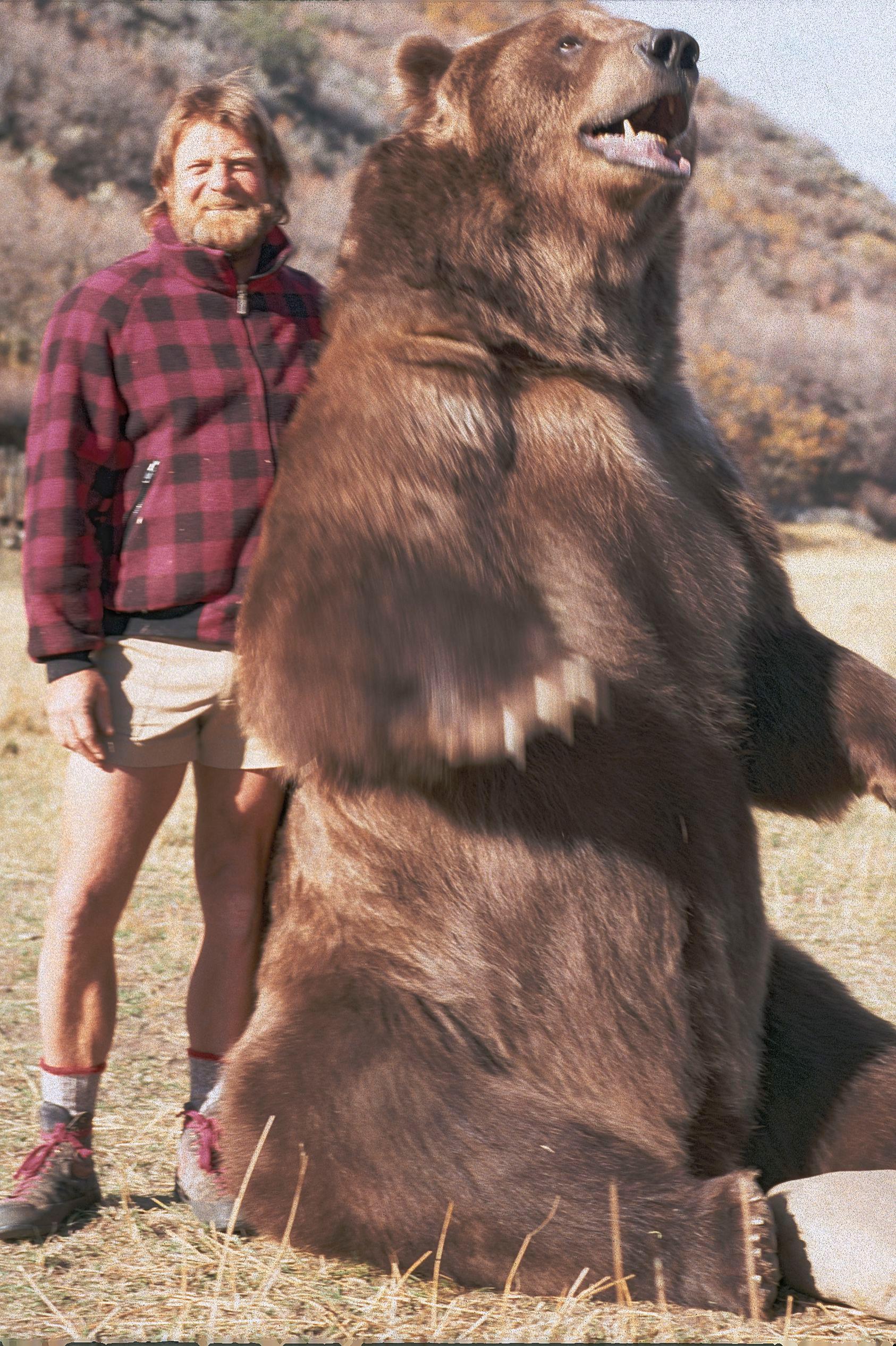 Bart the Bear, one of the most famous animal actors in Hollywood